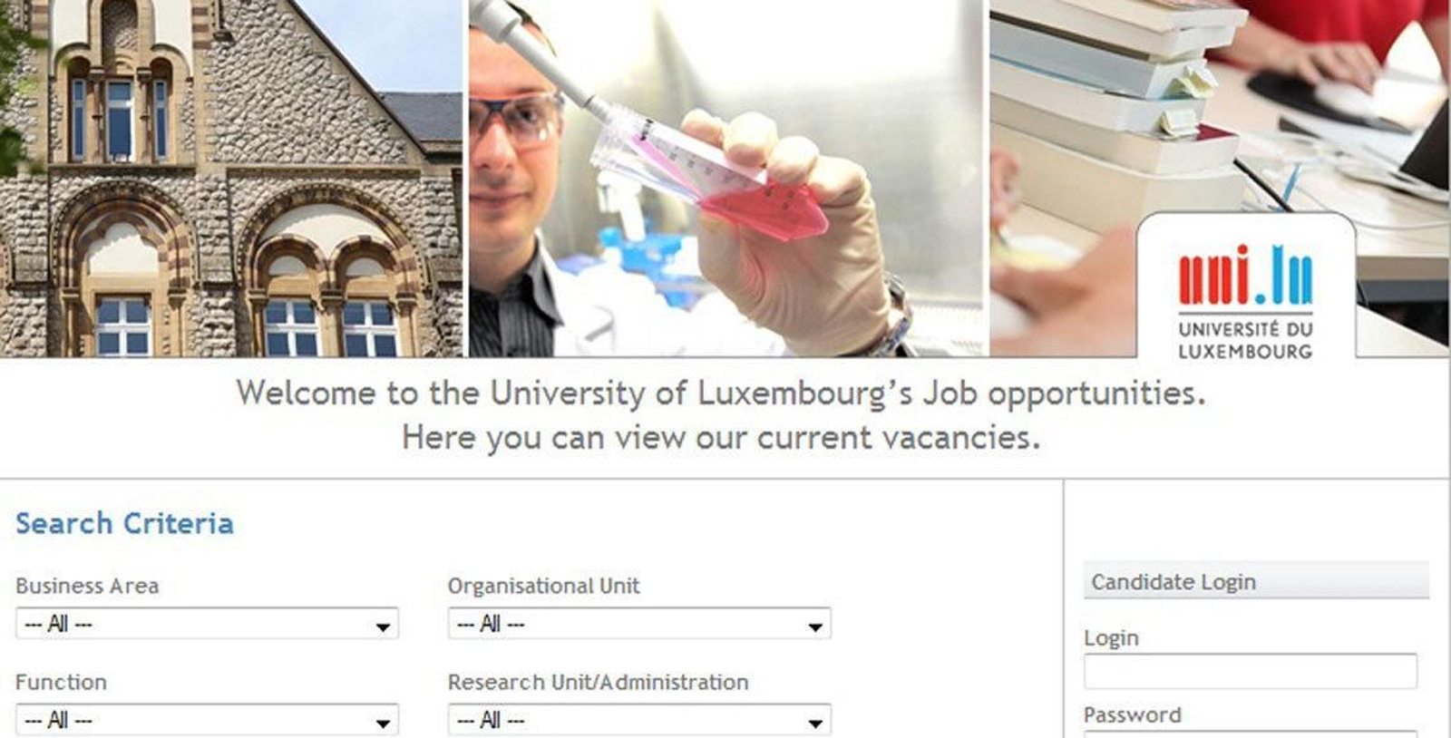 Página web que ofrece información detallada de cada puesto de trabajo.