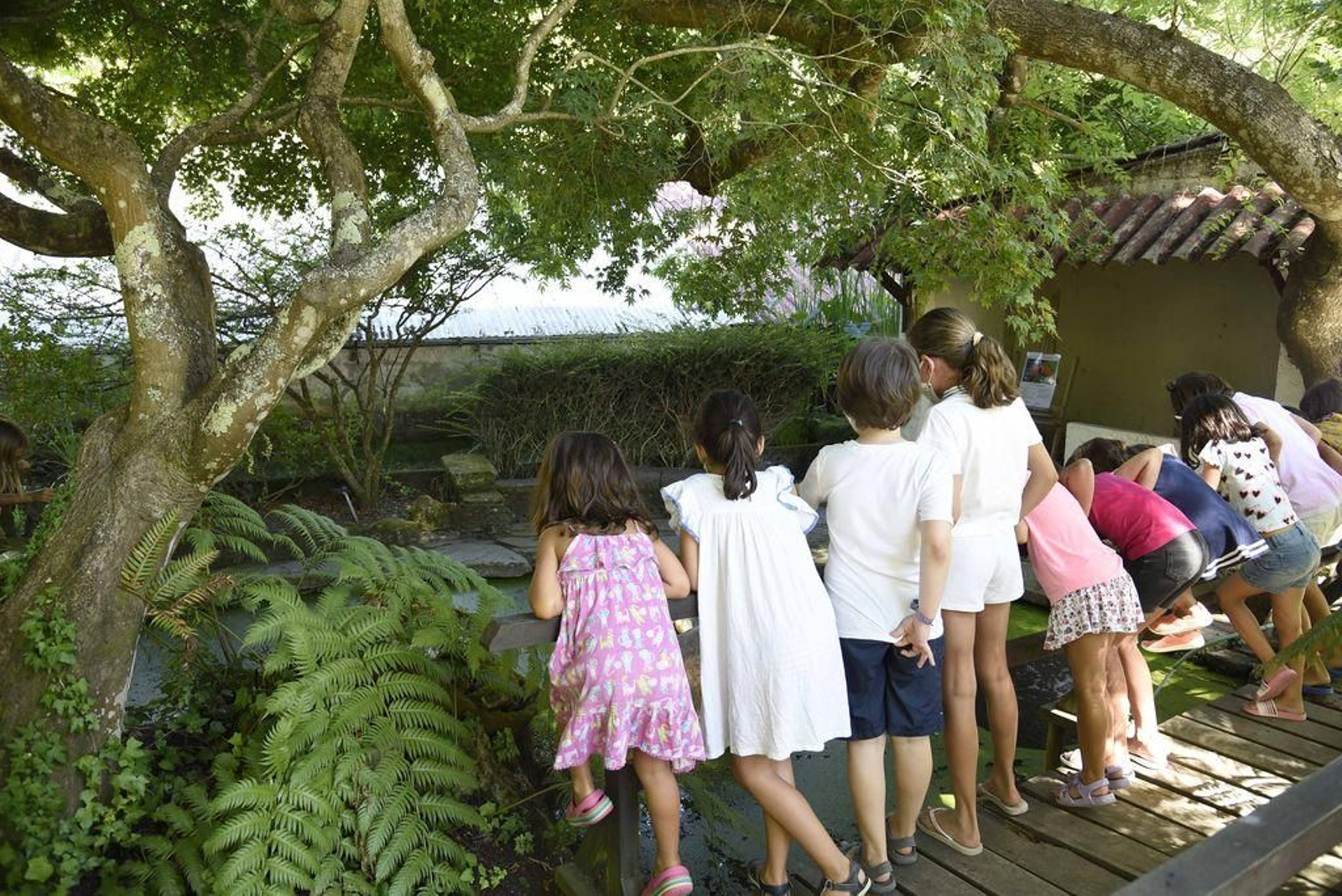 Los niños aprovechan el campamento para descubrir los jardines de la Fundación Sales.