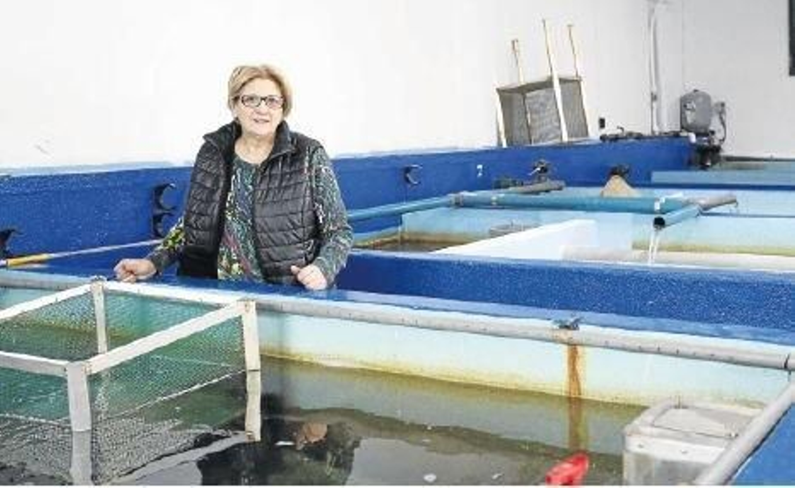 Consuelo Fernández, dueña de Pescados Benítez Fernández, entre los viveros de angulas en Goián.