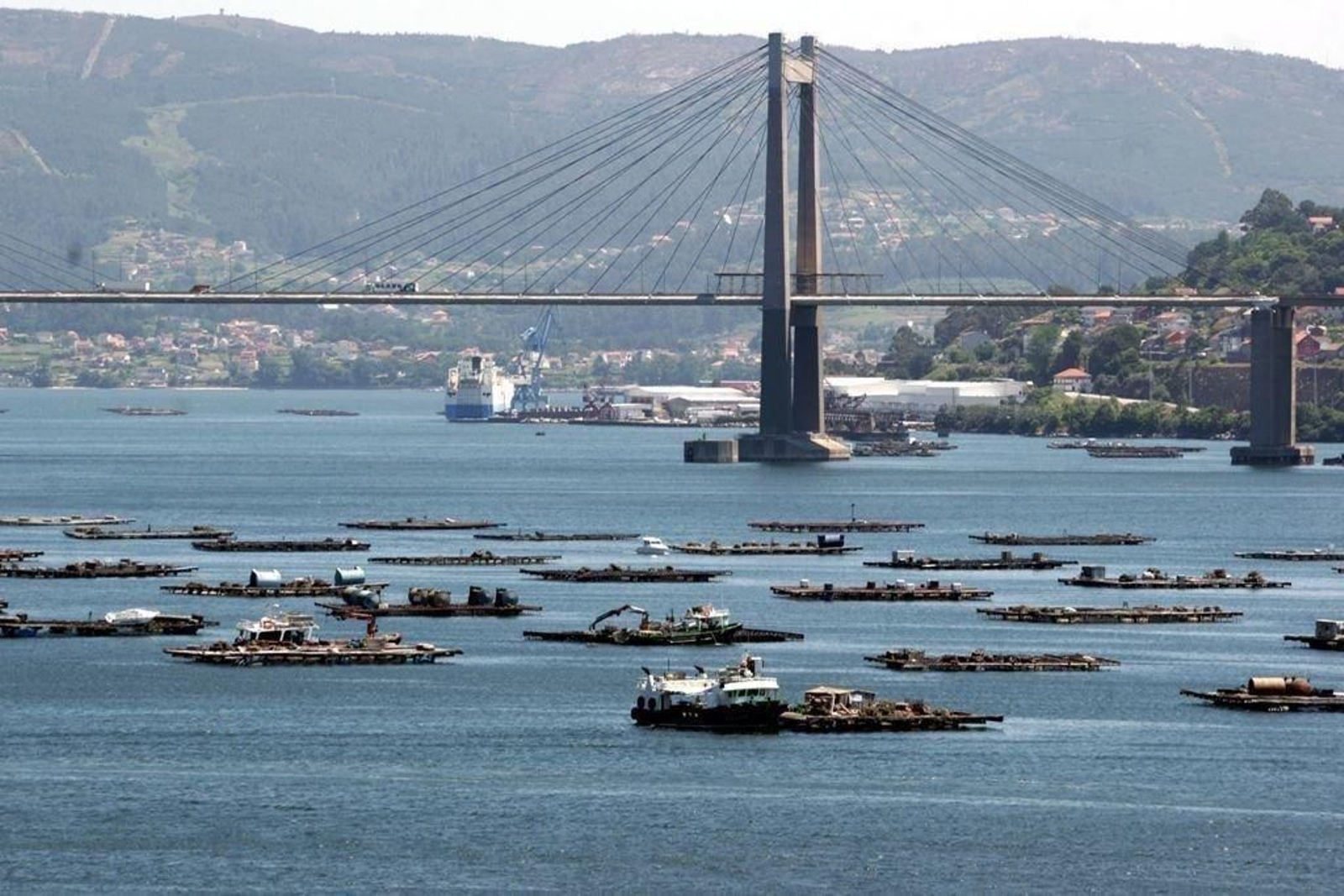 En la Ría de Vigo había ayer tres polígonos cerrados y dos se reabrieron tras los últimas muestras por parte del Intecmar.