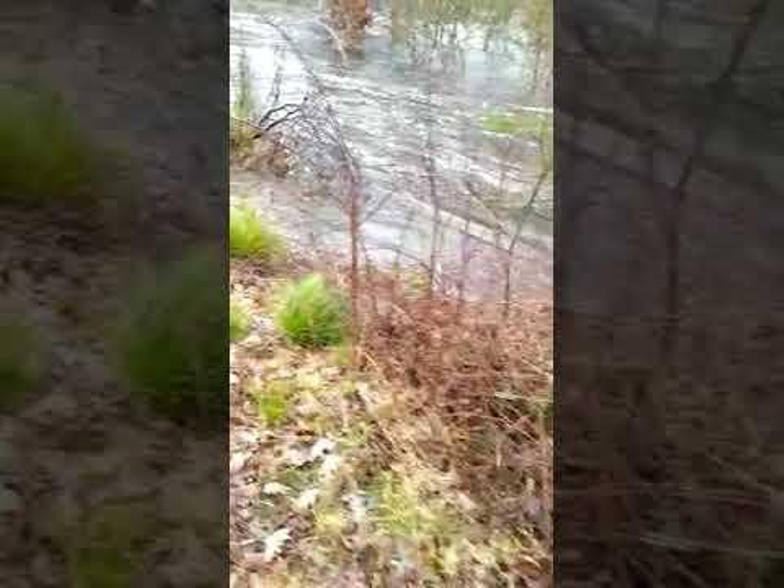 Vecinos de Pradorramisquedo aislados por las riadas