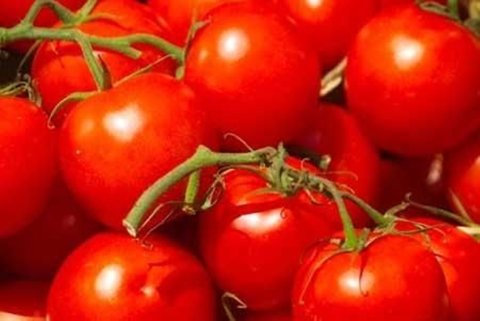 El tomate fue el alimento que más subió en abril.