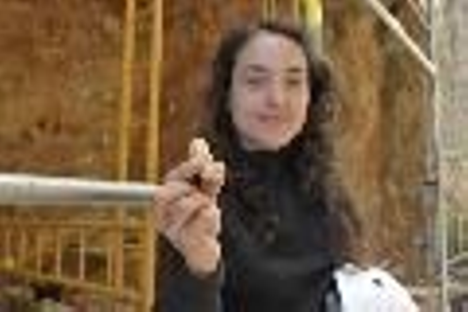 Hallazgo en la cueva de la Sima del Elefante.