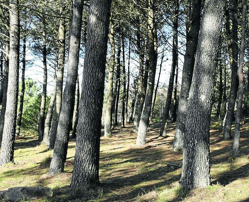 A Ruta da Cima conta con moitos lugares de interese