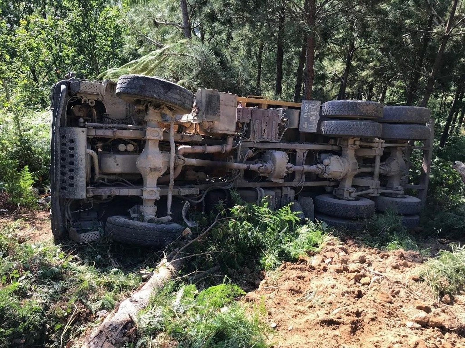 Fallece un camionero en Mos // Alberte