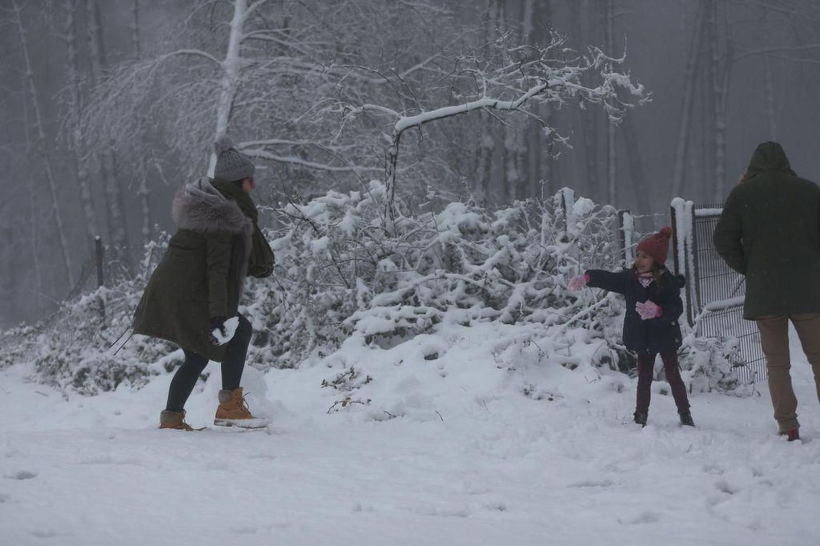 La nieve cubre el Alto de Fontefría // Alberte