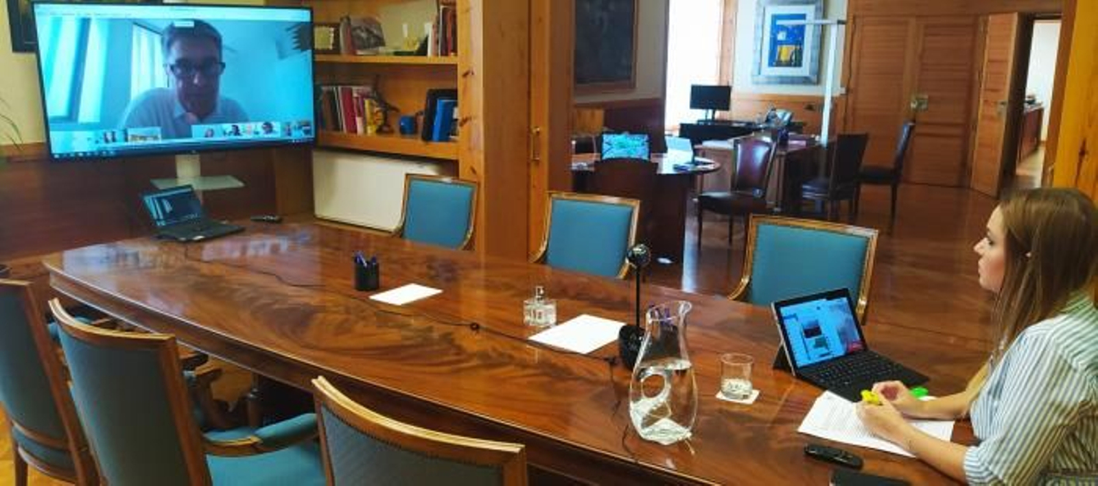 Aragón expertos post virus web