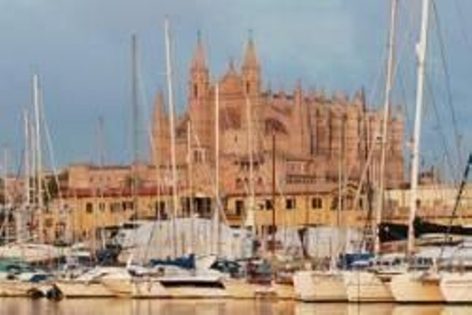 Joan Fageda solicitará información sobre la restauración de catedrales.