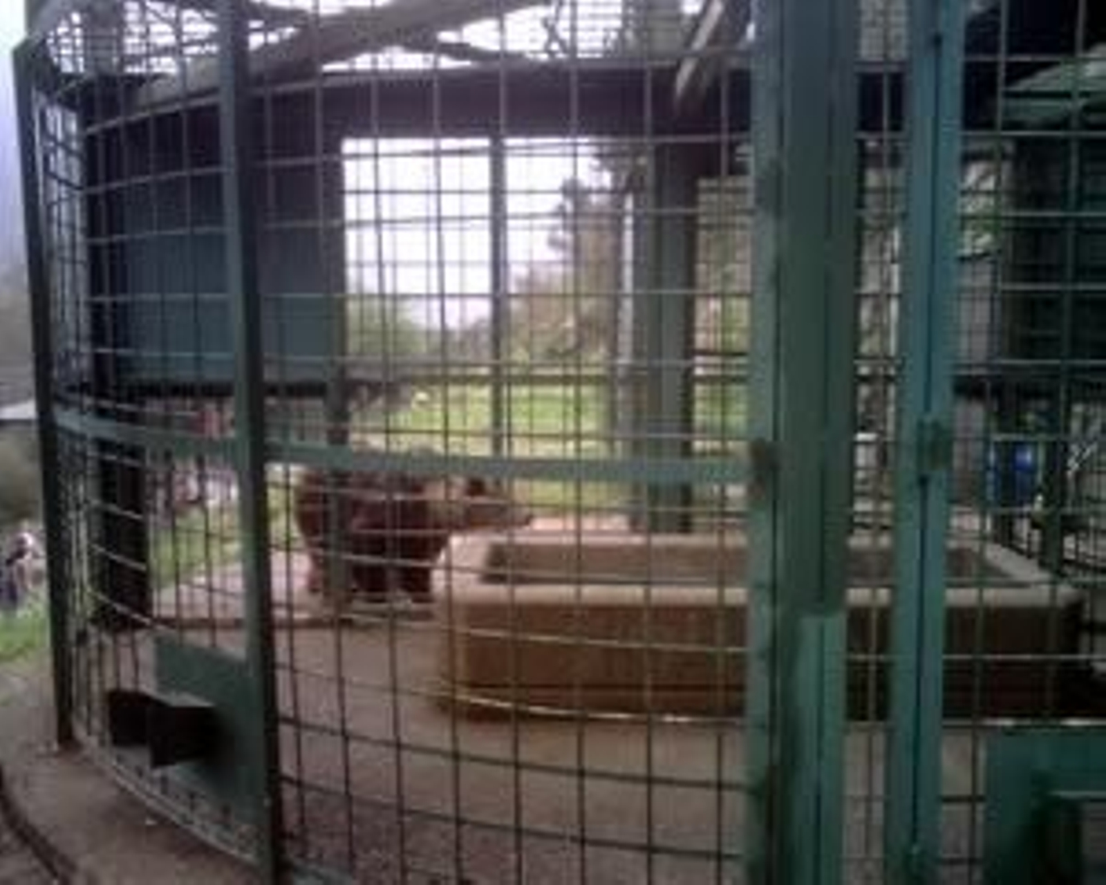 Casa Oso Cantábrico.