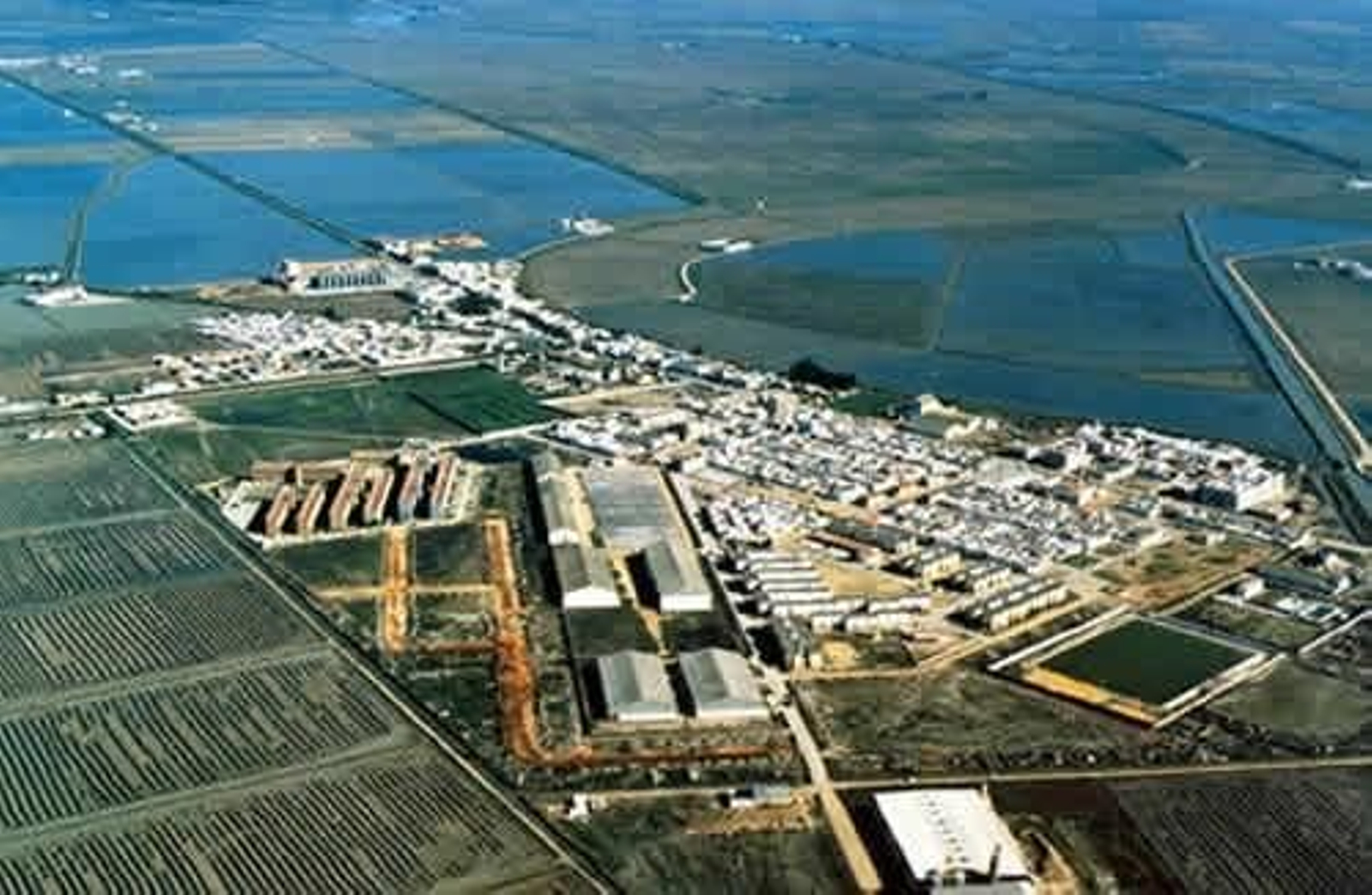 Localidad sevillana de Isla Mayor.