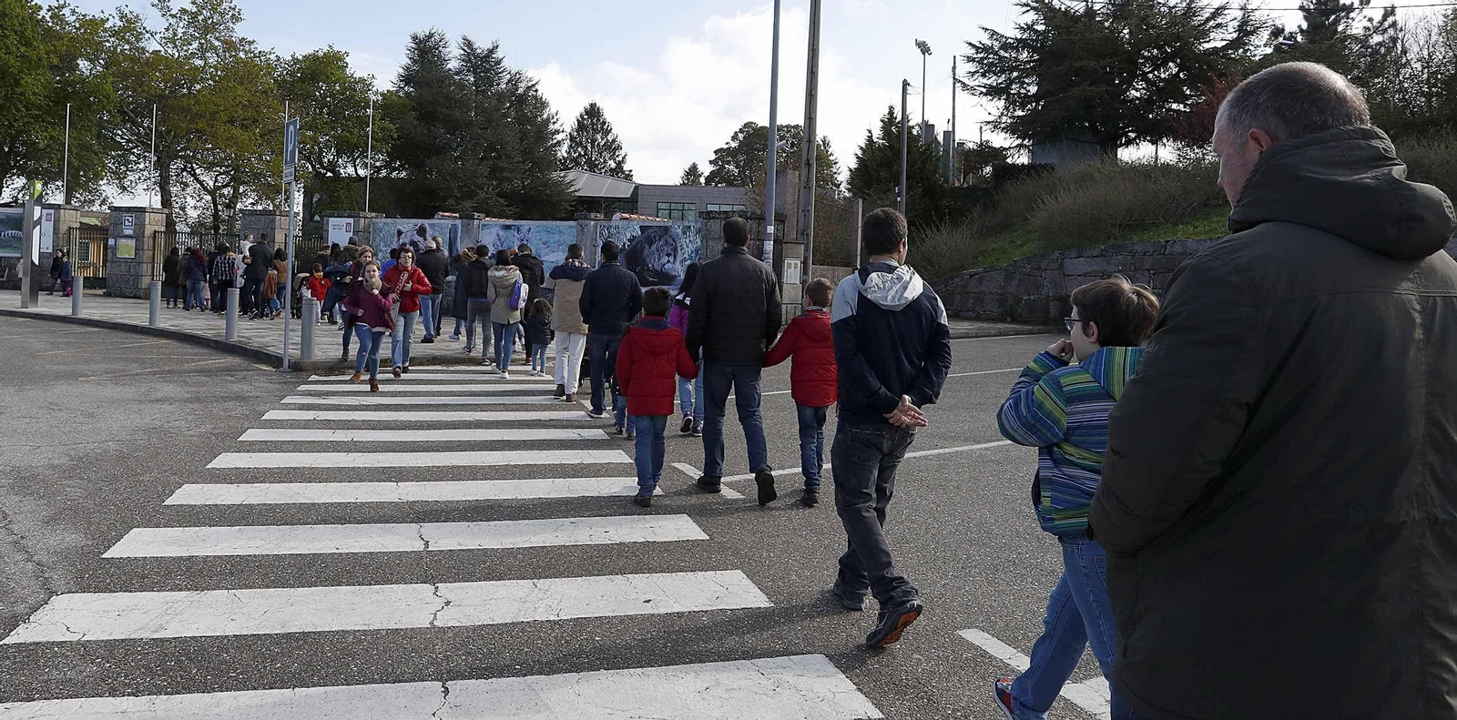 Las colas, aunque fluidas, fueron constantes durante todo el día, ya que Vigozoo conmemoraba el Día da Reconquista con una jornada de puertas abiertas.