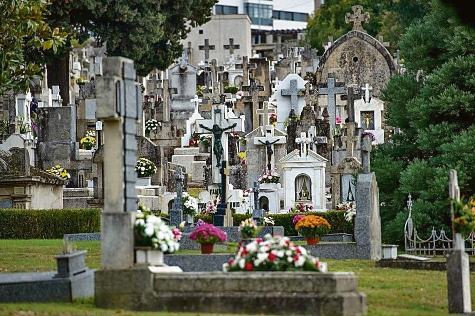 Imagen de un cementerio.