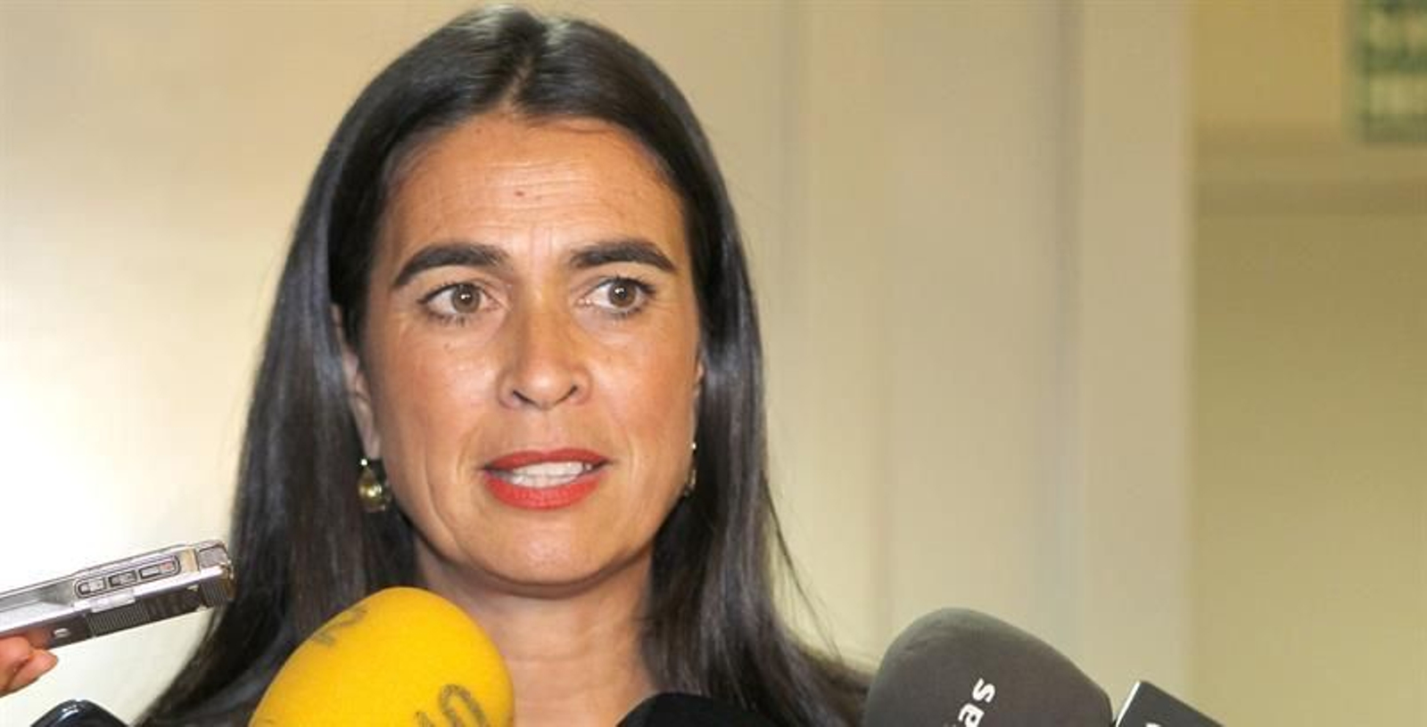 María del Carmen Hernández Bento, delegada del Gobierno en Canarias