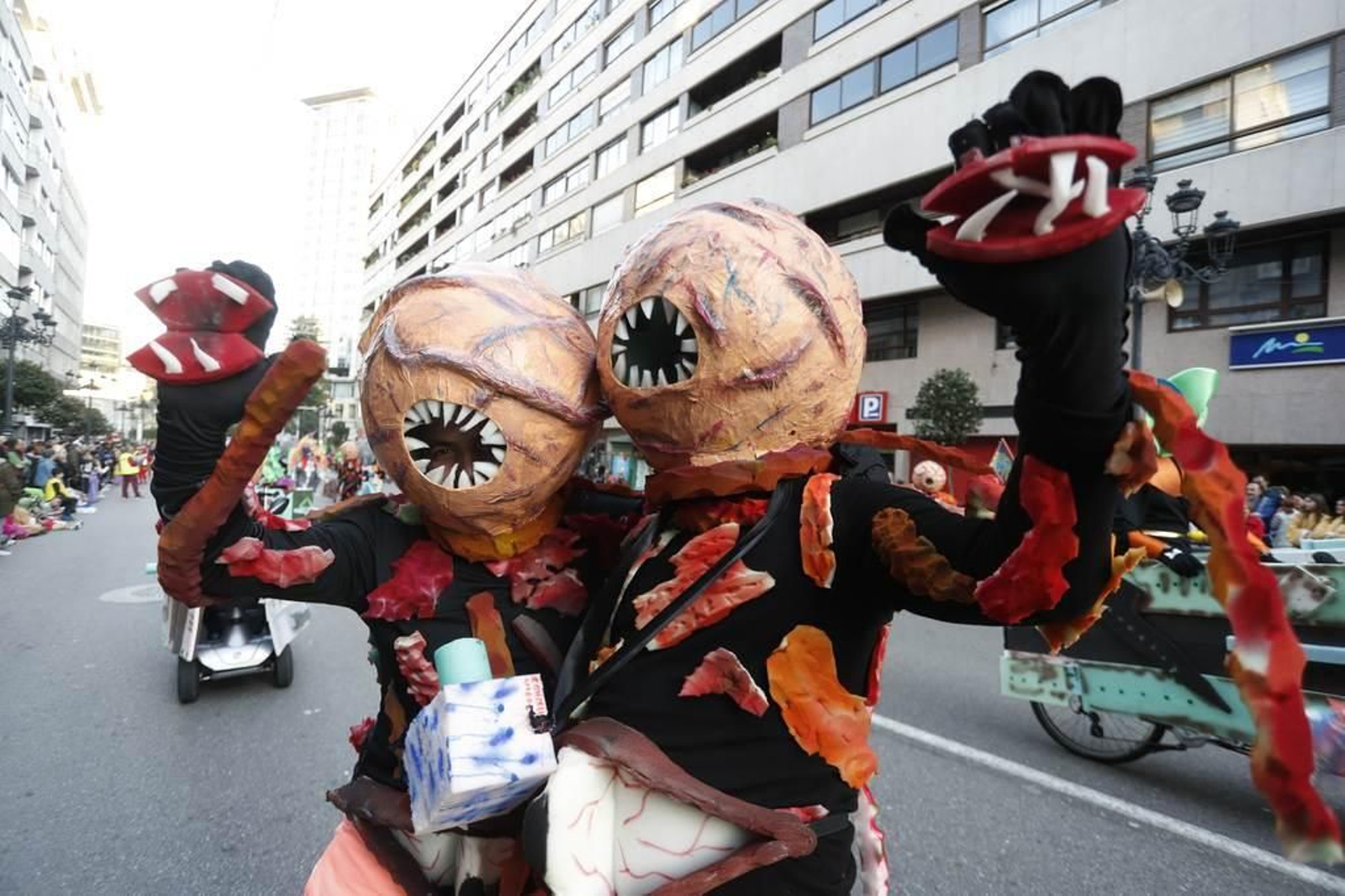 Desfile del Entroido en Vigo 520