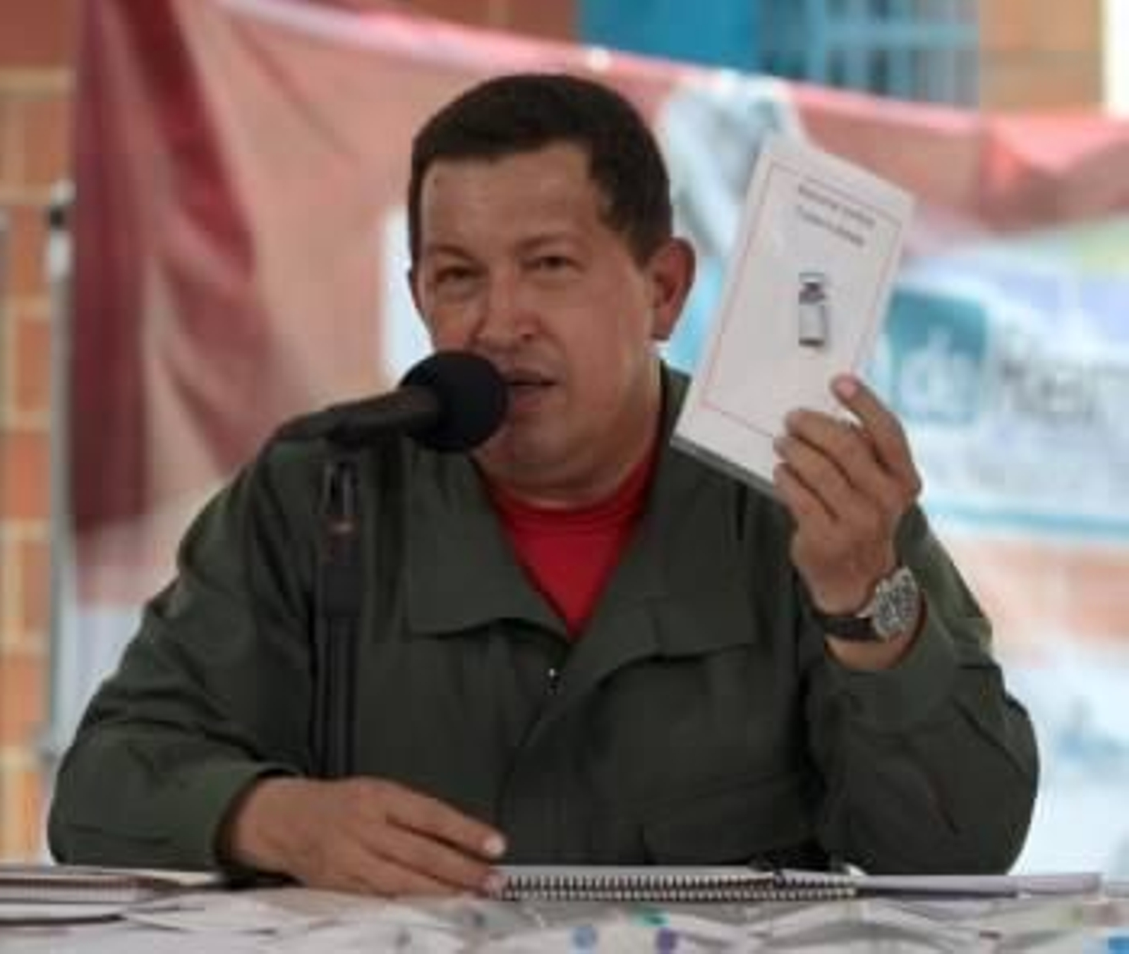 El presidente de Venezuela, Hugo Chávez.