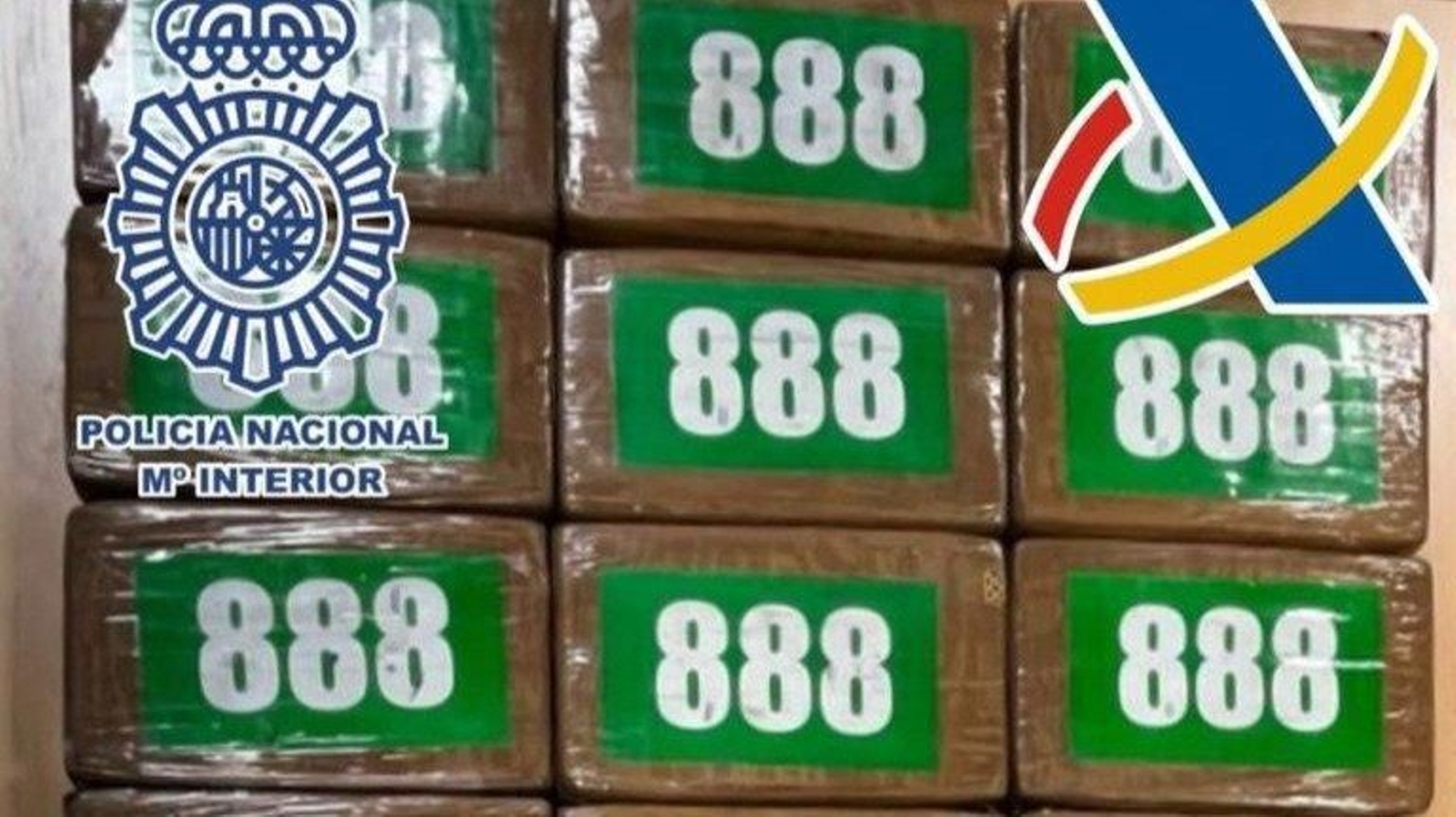 El alijo intervenido por las fuerzas de seguridad.