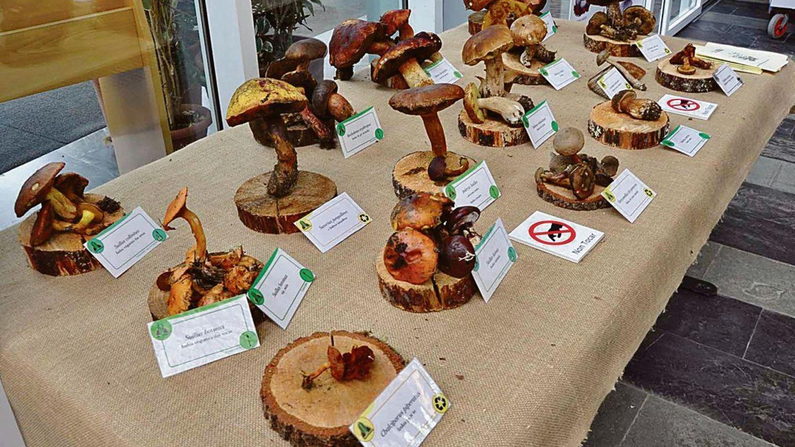 Una de las exposiciones organizadas en las fiestas de San Alberte de la Facultad de Ciencias.