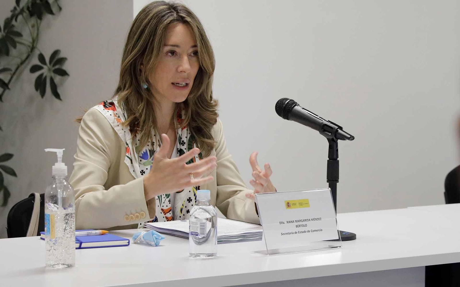 Archivo. La secretaria de Estado de Comercio de España, Xiana Méndez Bértolo. EFE/Carlos Ortega