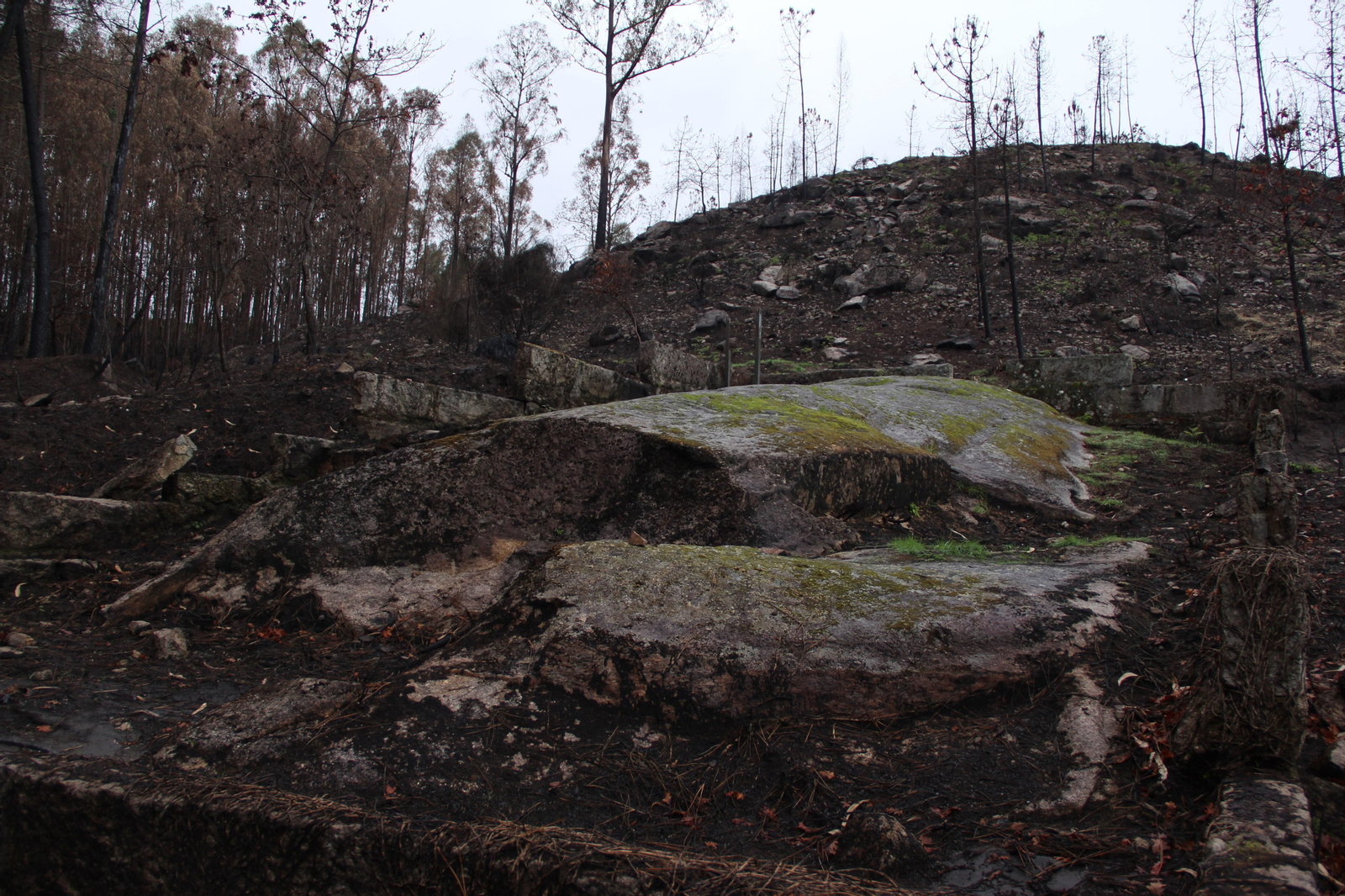 Pedra Moura presenta una grieta en su superficie que no afecta a los grabados, que muestran en su contorno un color negruzco, que preocupa a los arqueólogos, ya que podría cambiar la coloración de la piedra.