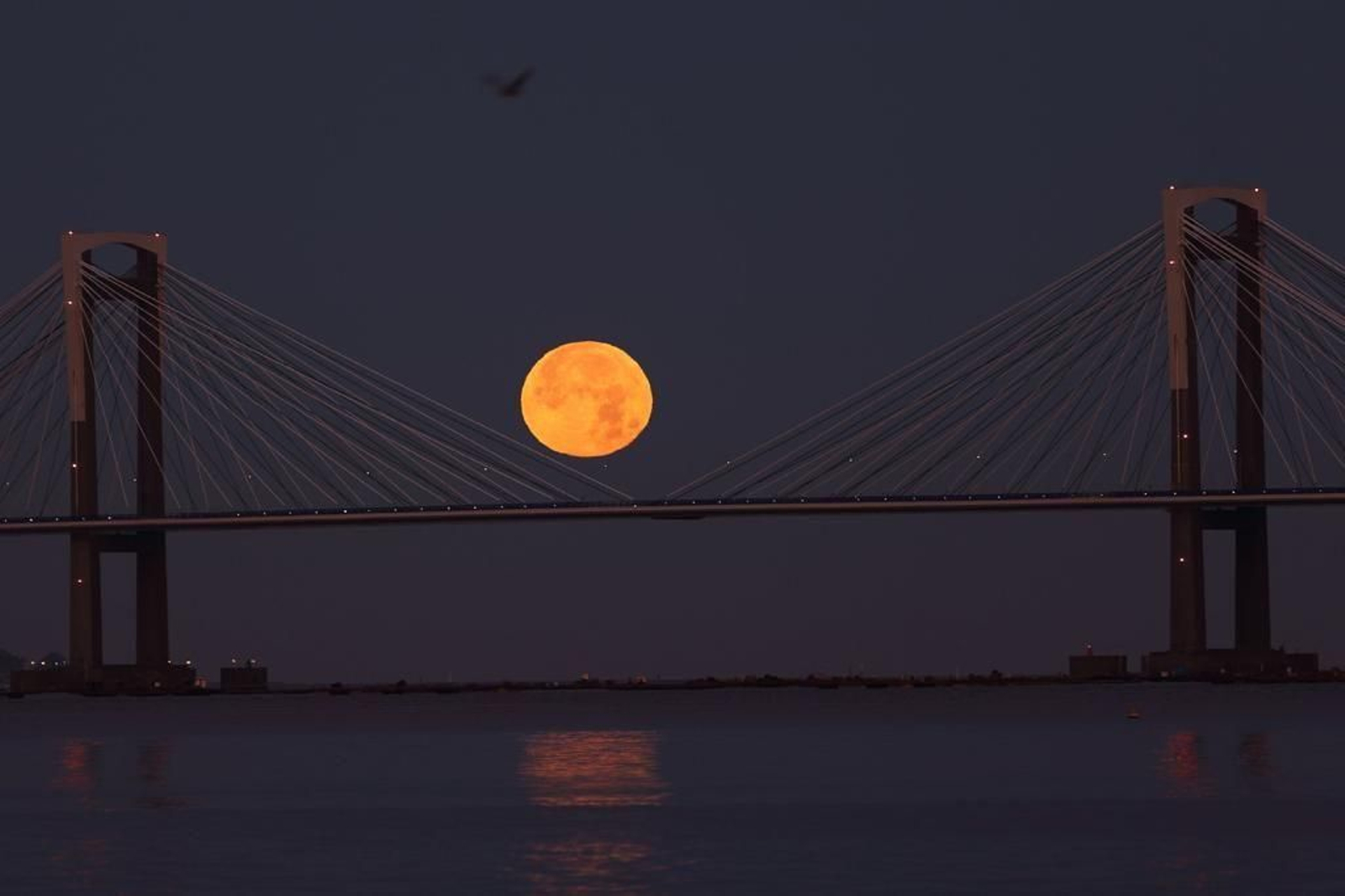 La luna llena ameriza sobre la ría de Vigo_ Alberte  5