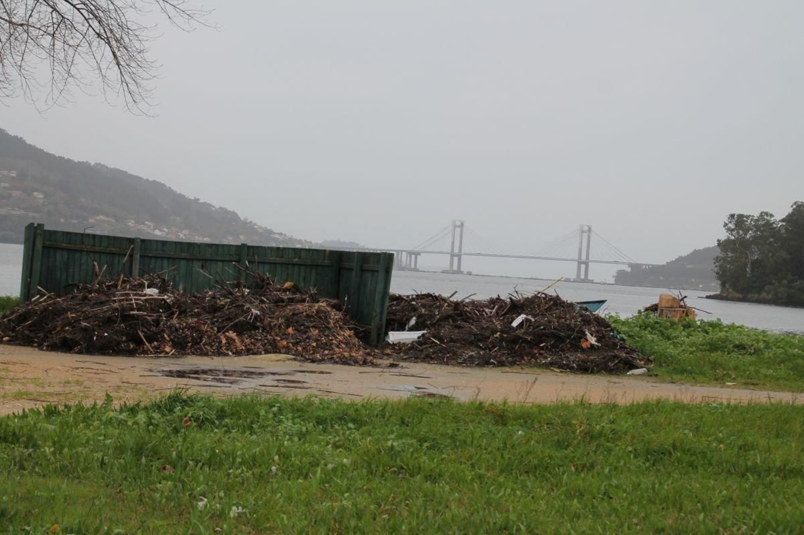 Imagen de los restos recogidos en Cesantes el pasado 2 de diciembre.