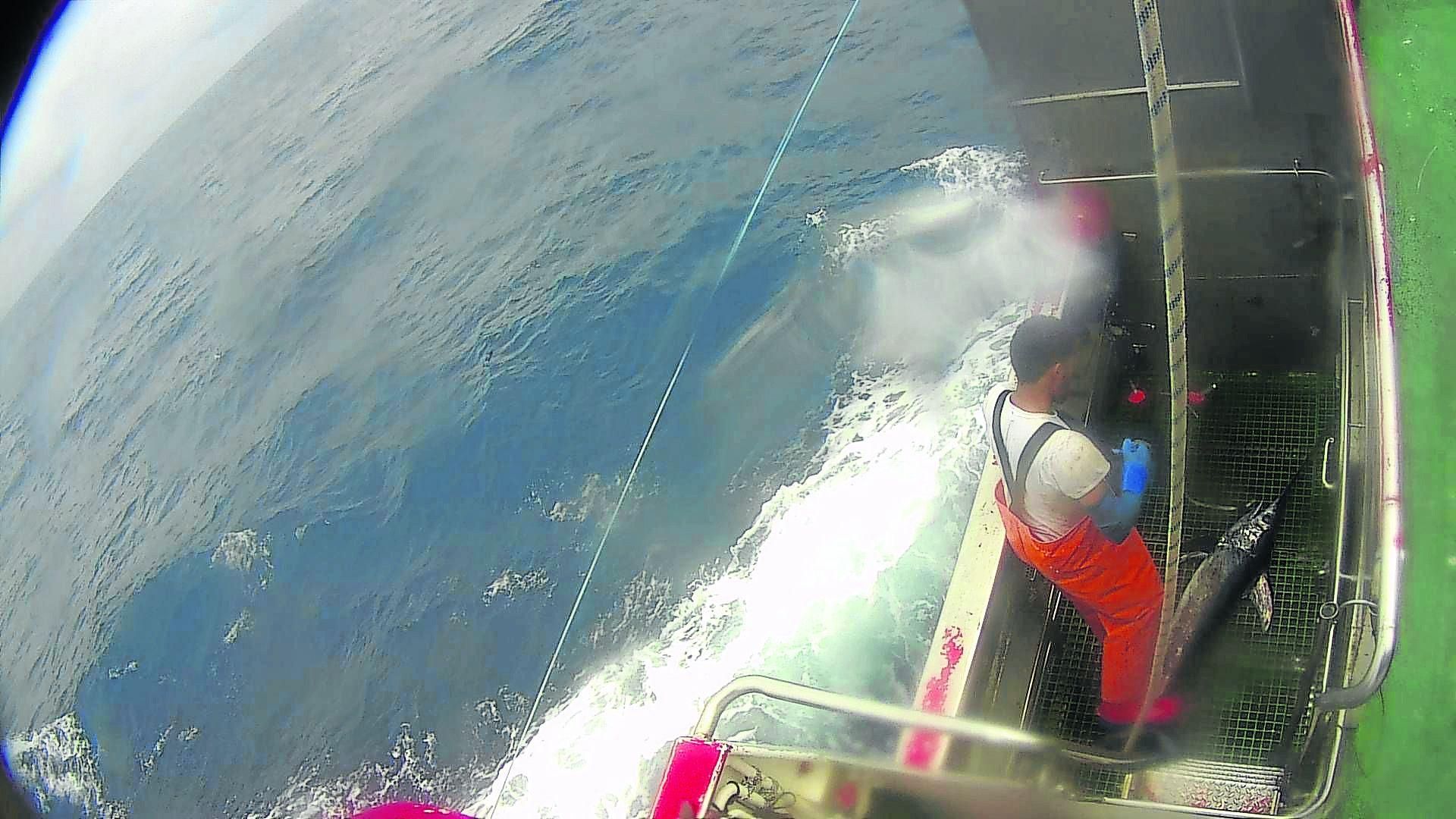 Imagen captada por el sistema de observación electrónica del proyecto Obepal, a bordo de un buque de Orpagu