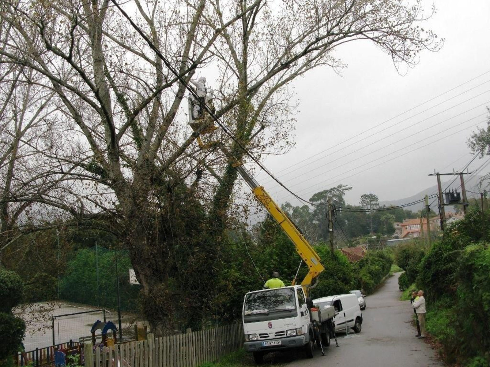 Los bomberos tienen formación y medios para la retirada de los nidos de estos insectos.