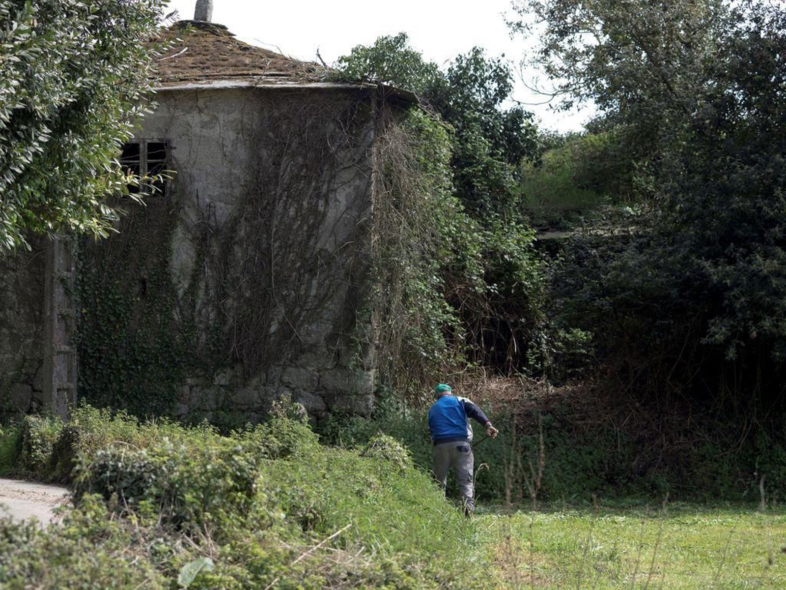 Un hombre limpia la maleza en una "corredoira" a la par de una vivienda abandonada, en Lugo.