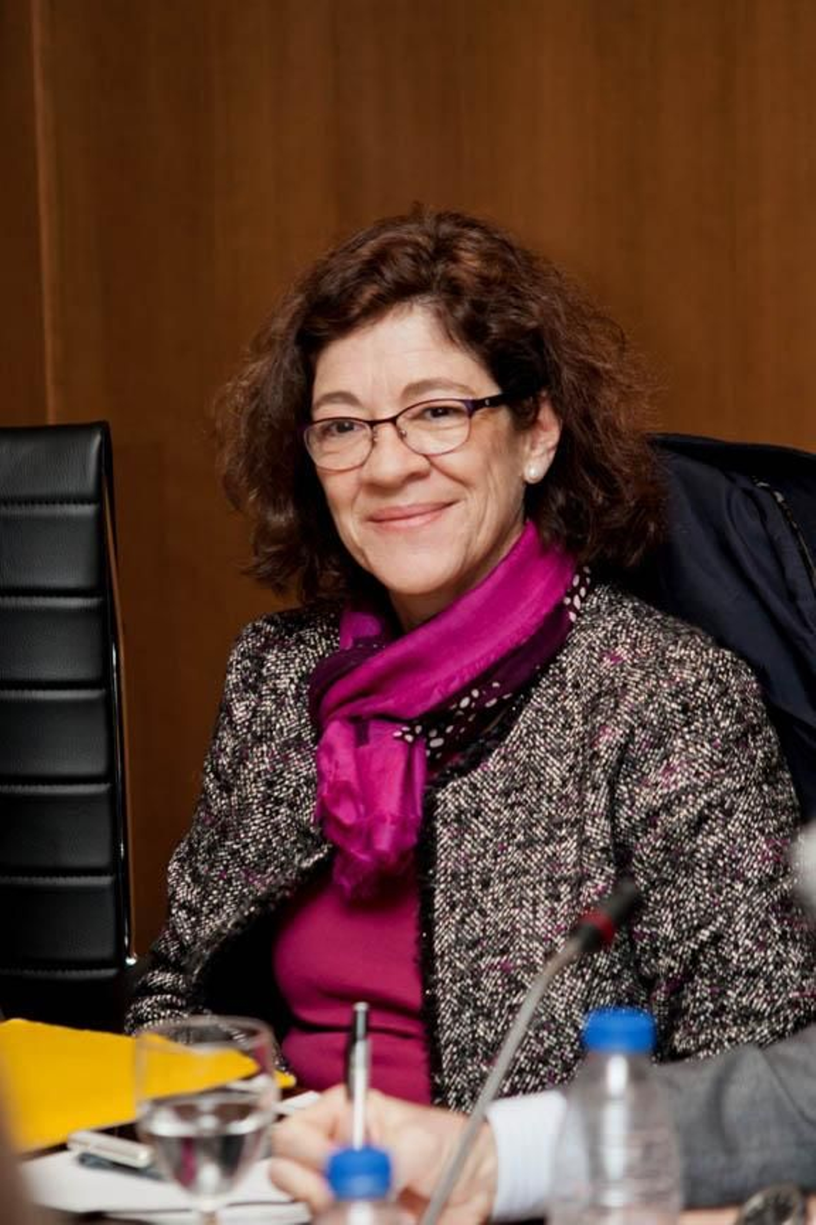 Ana Lourdes de Hériz web