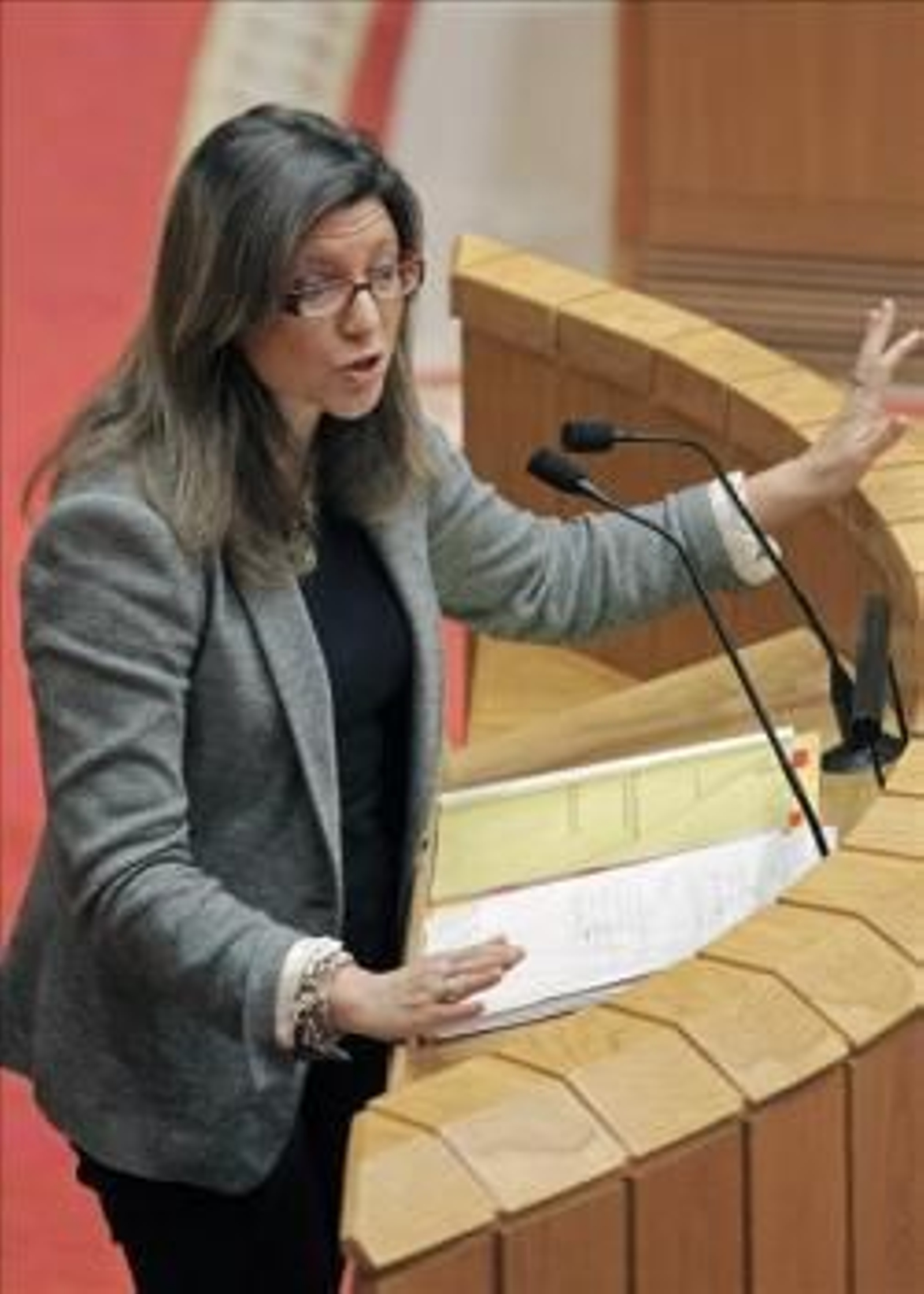 La diputada socialista María José Caride (Foto: EFE)