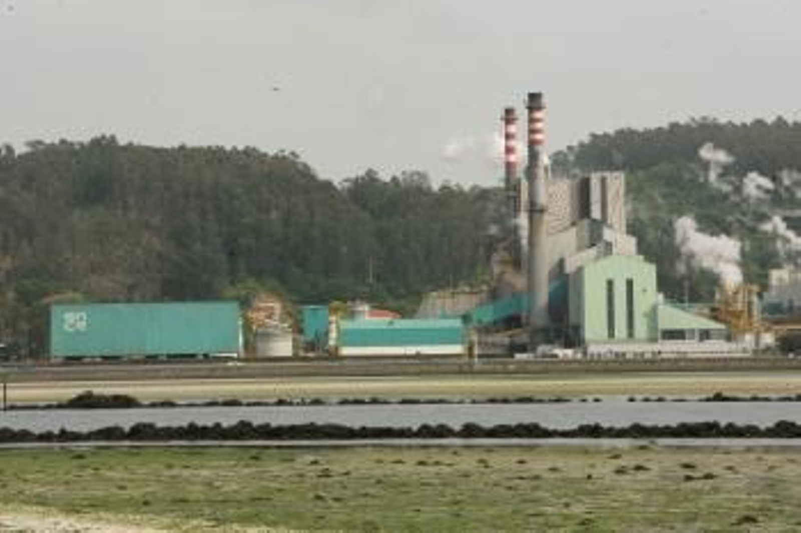 La planta de Ence en Pontevedra, en Lourizán.