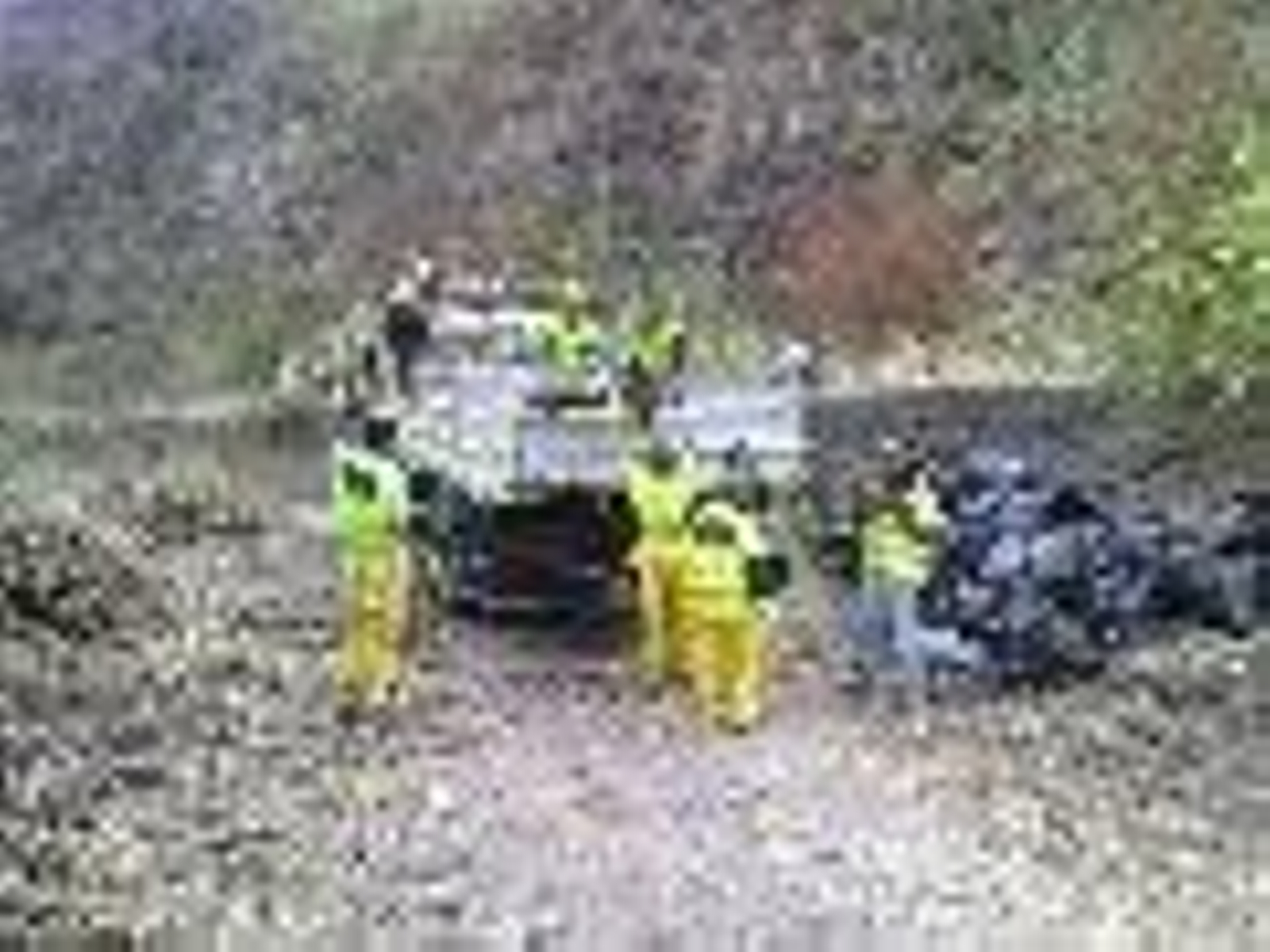 Un grupo de trabajadores limpia los barrancos de Gran Canaria.