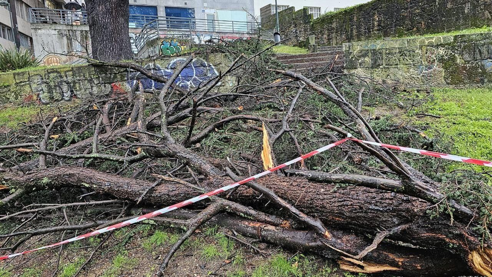 Un gran rama de un árbol caída en A Seara. // R.S.