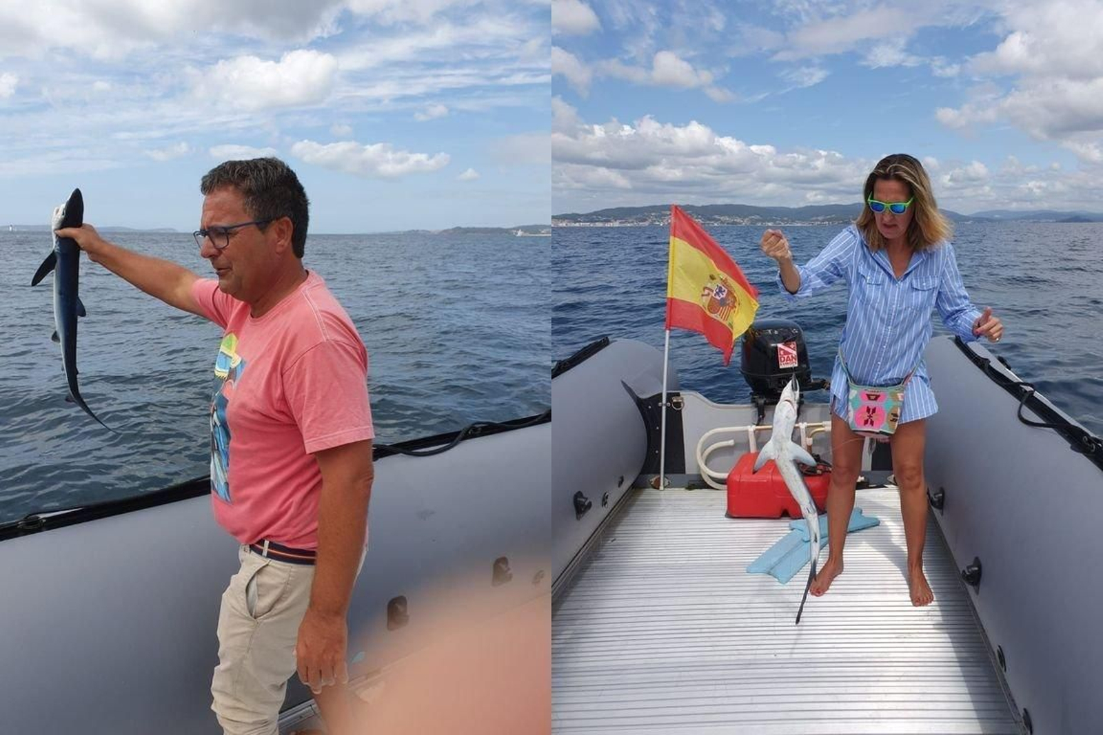 Tiburones en la caña, en lugar de caballas