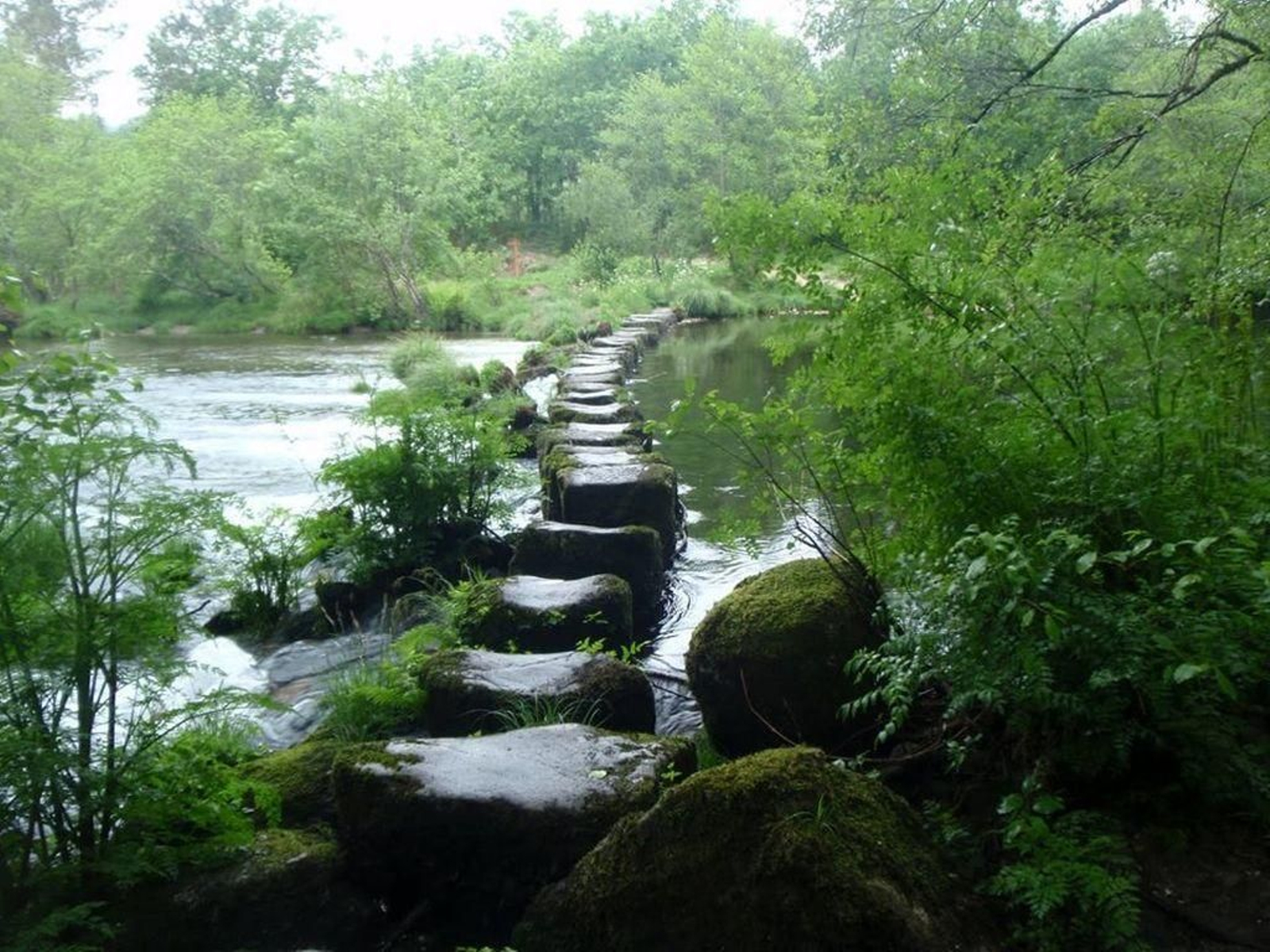 El Concello está en proceso de regularizar manantiales y captaciones de agua.