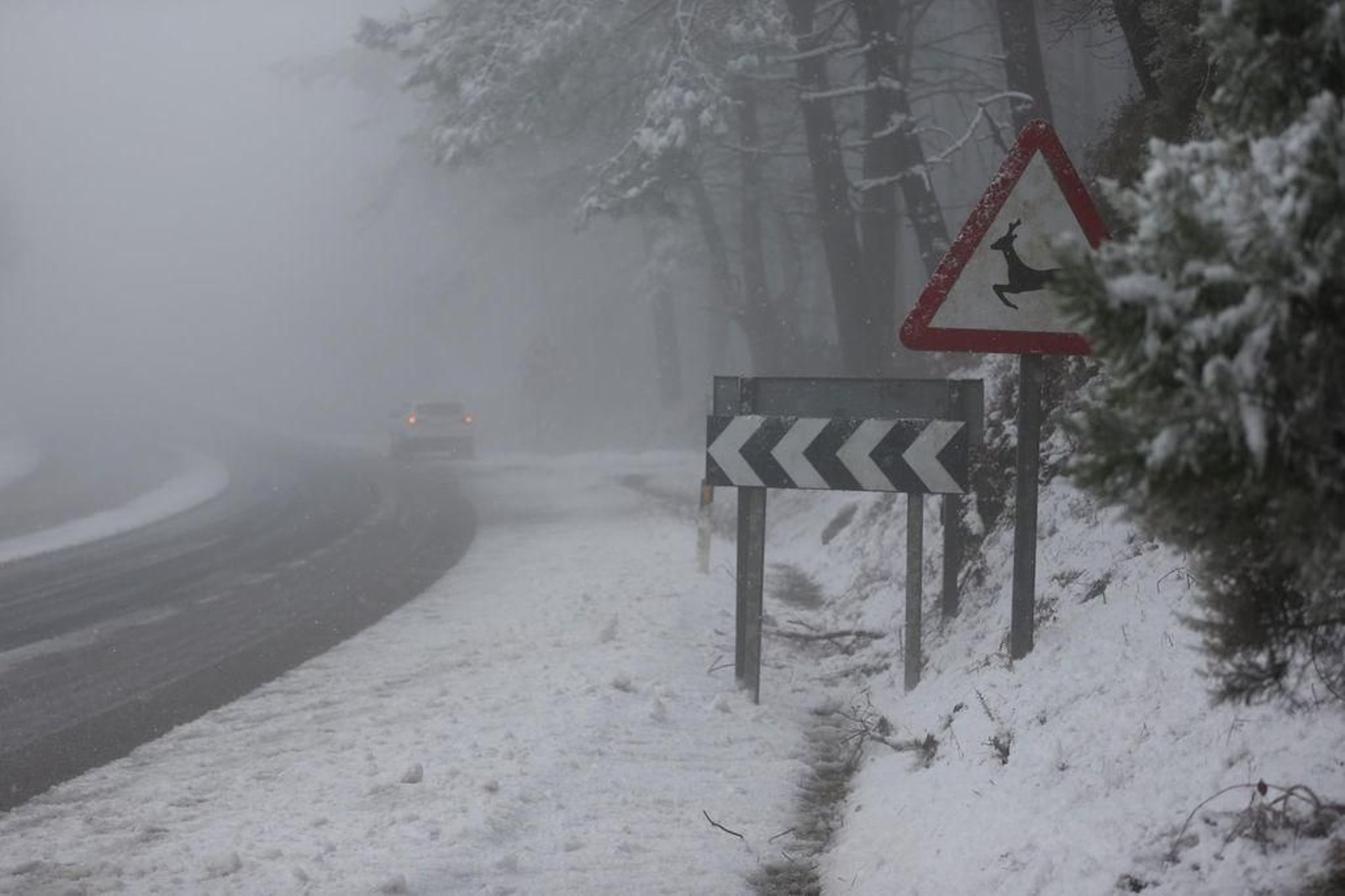 La nieve cubre el Alto de Fontefría // Alberte