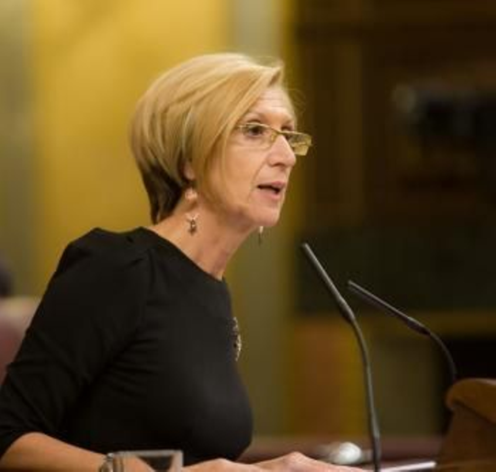 Rosa Díez, Portavoz De Upyd