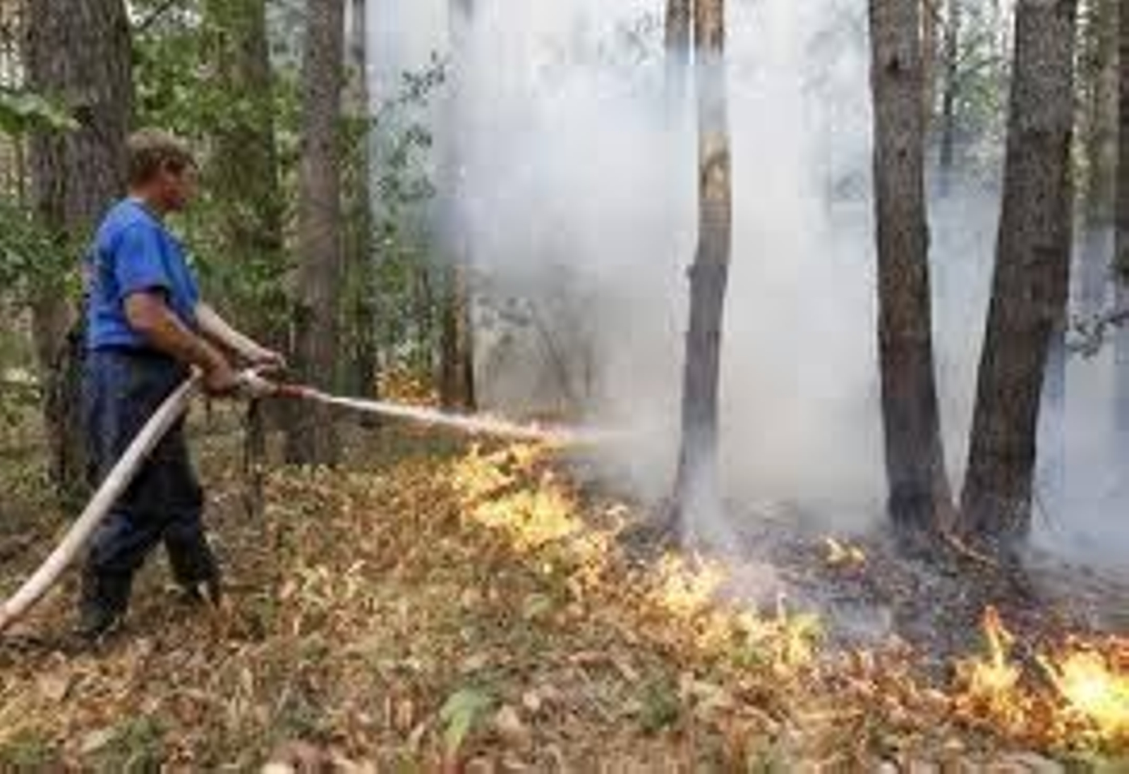 En la imagen, trabajos para la extinción de un fuego.