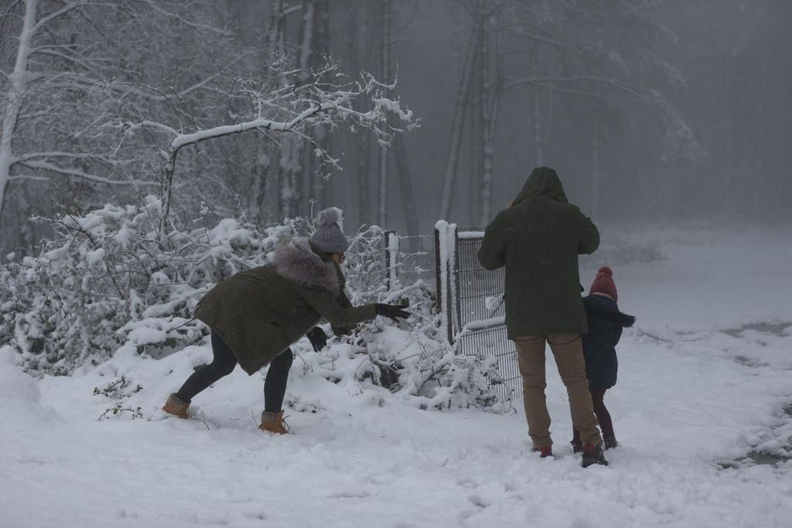 La nieve cubre el Alto de Fontefría // Alberte