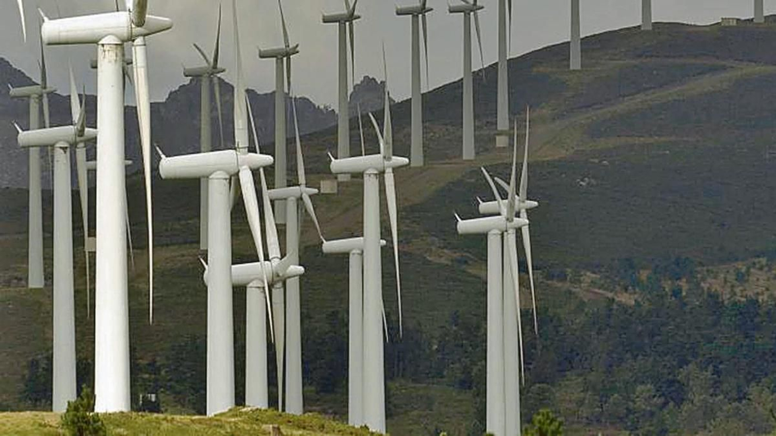 Parque eólico.