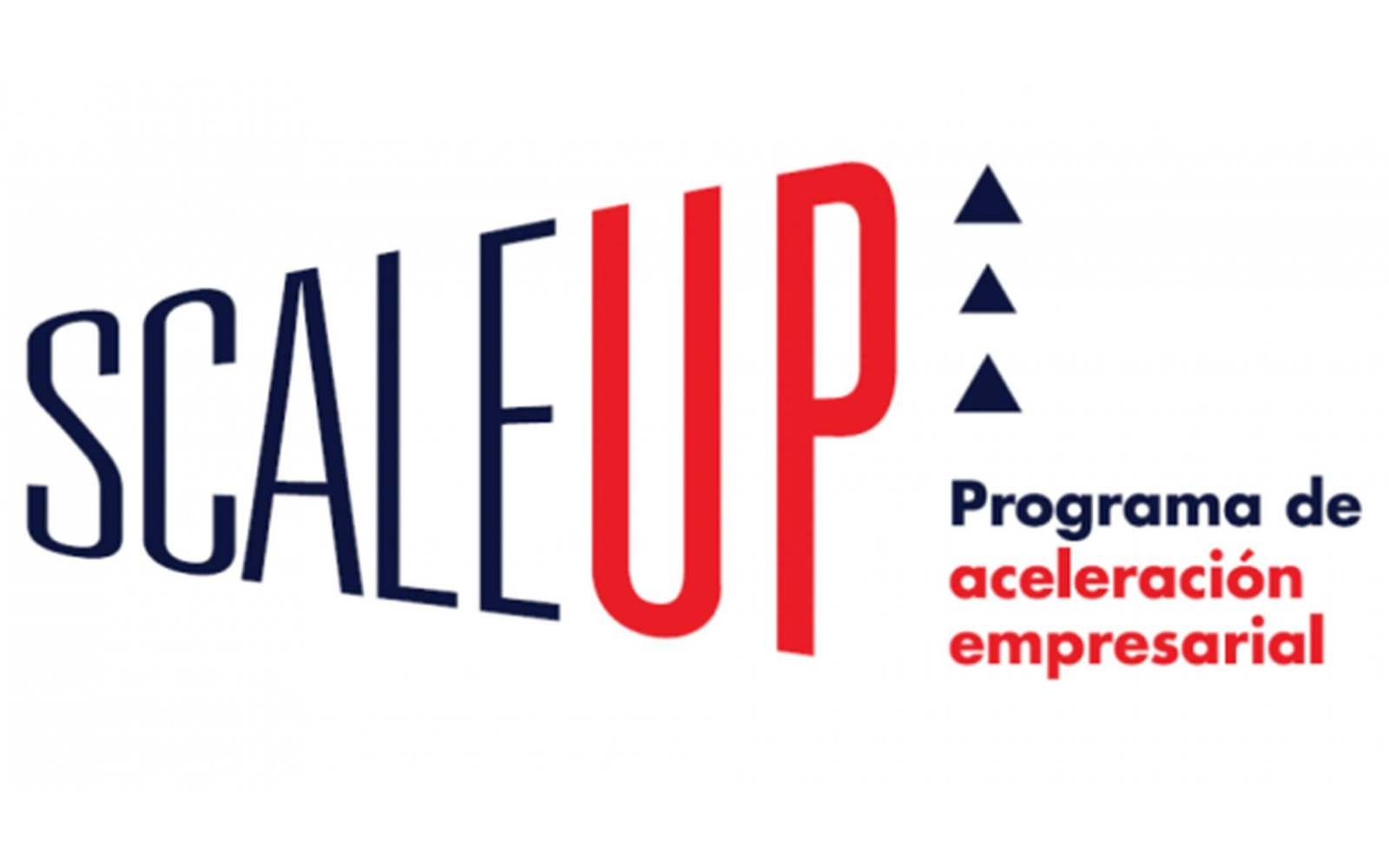 Aragón empresas web