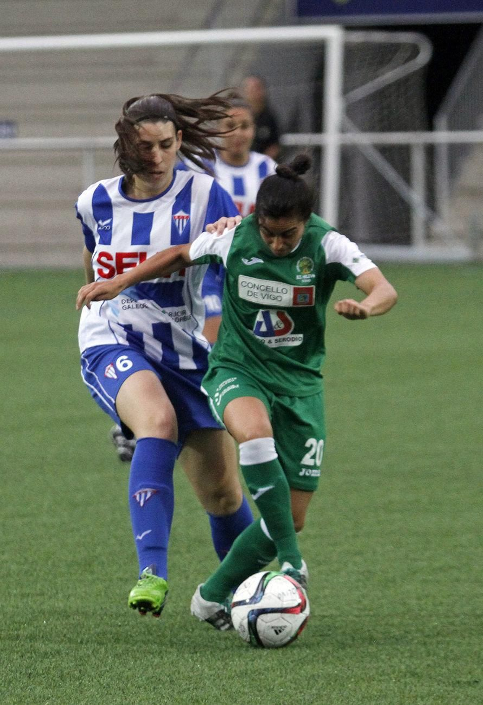 Imagen de un El Olivo-Sárdoma.