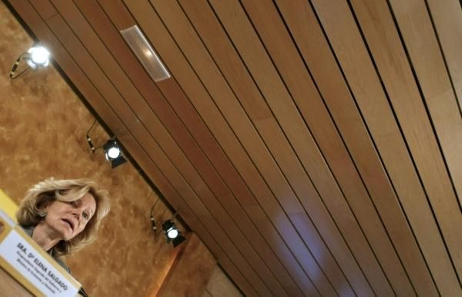 E lena Salgado, ministra de Economía, durante la presentación de las medidas. (Foto: J.J. Guillén)