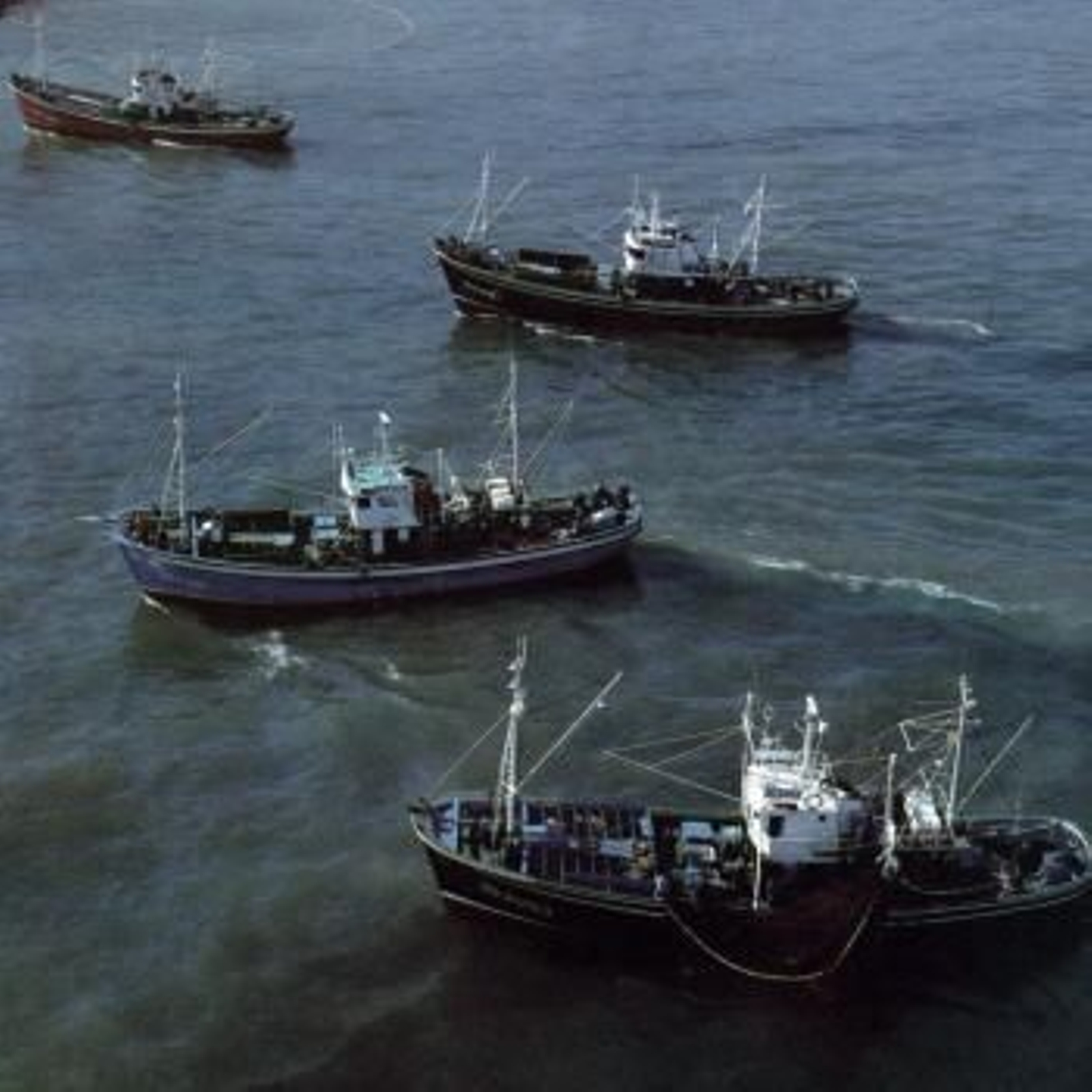Barcos de Pesca.