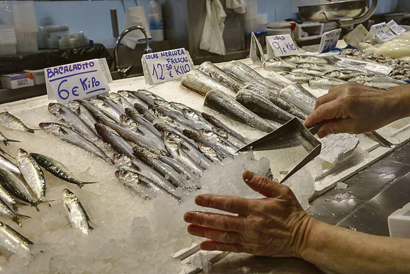 Detalle de un puesto de pescado y marisco en el Mercado Central de Valencia.