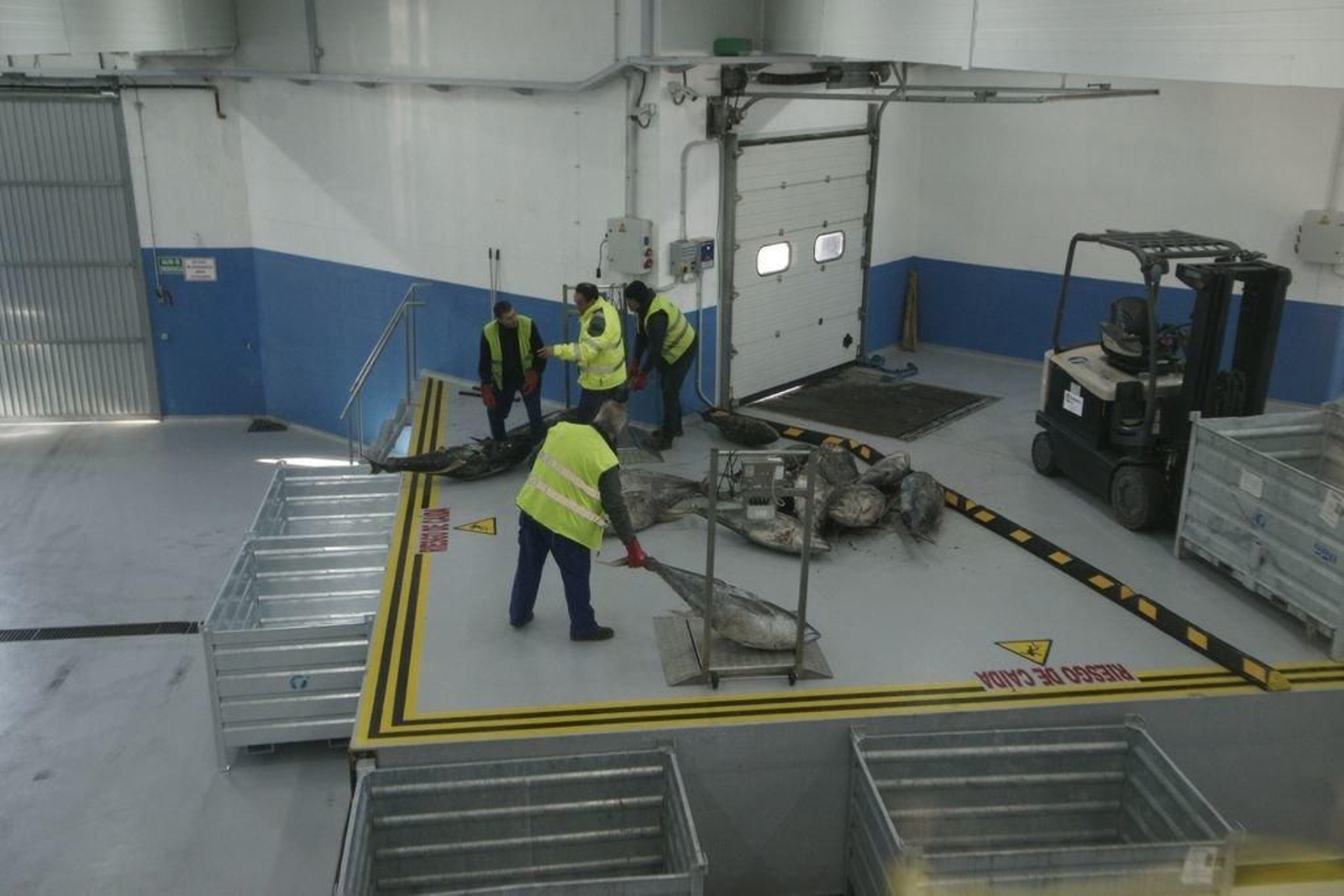 La industria del atún congelado da trabajo en Galicia a más de 500 personas, en la imagen, instalaciones de Atunlo en Vigo.