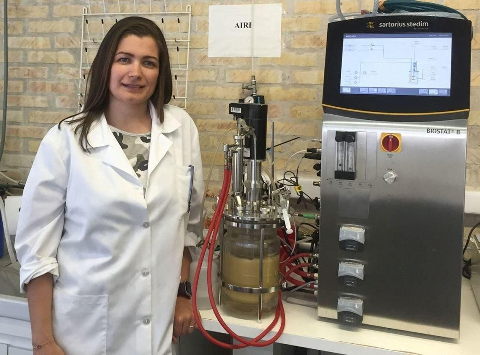 Marta Cobas logró tratar la cáscara de castaña para obtener un material económico que retiene la contaminación.