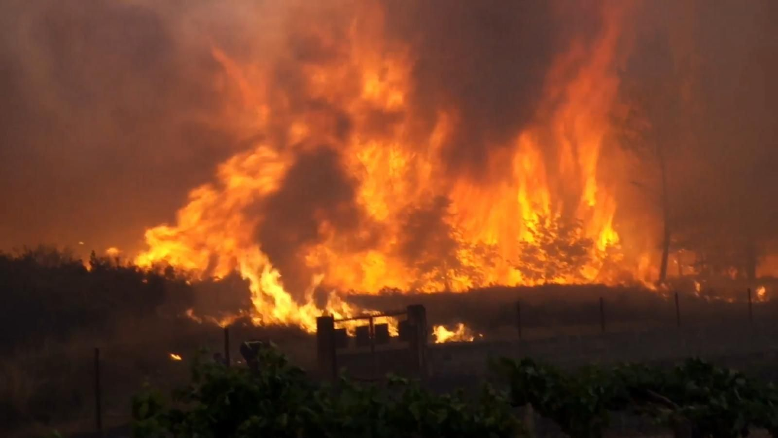 El incendio forestal en Monforte de Lemos _ Alberte07