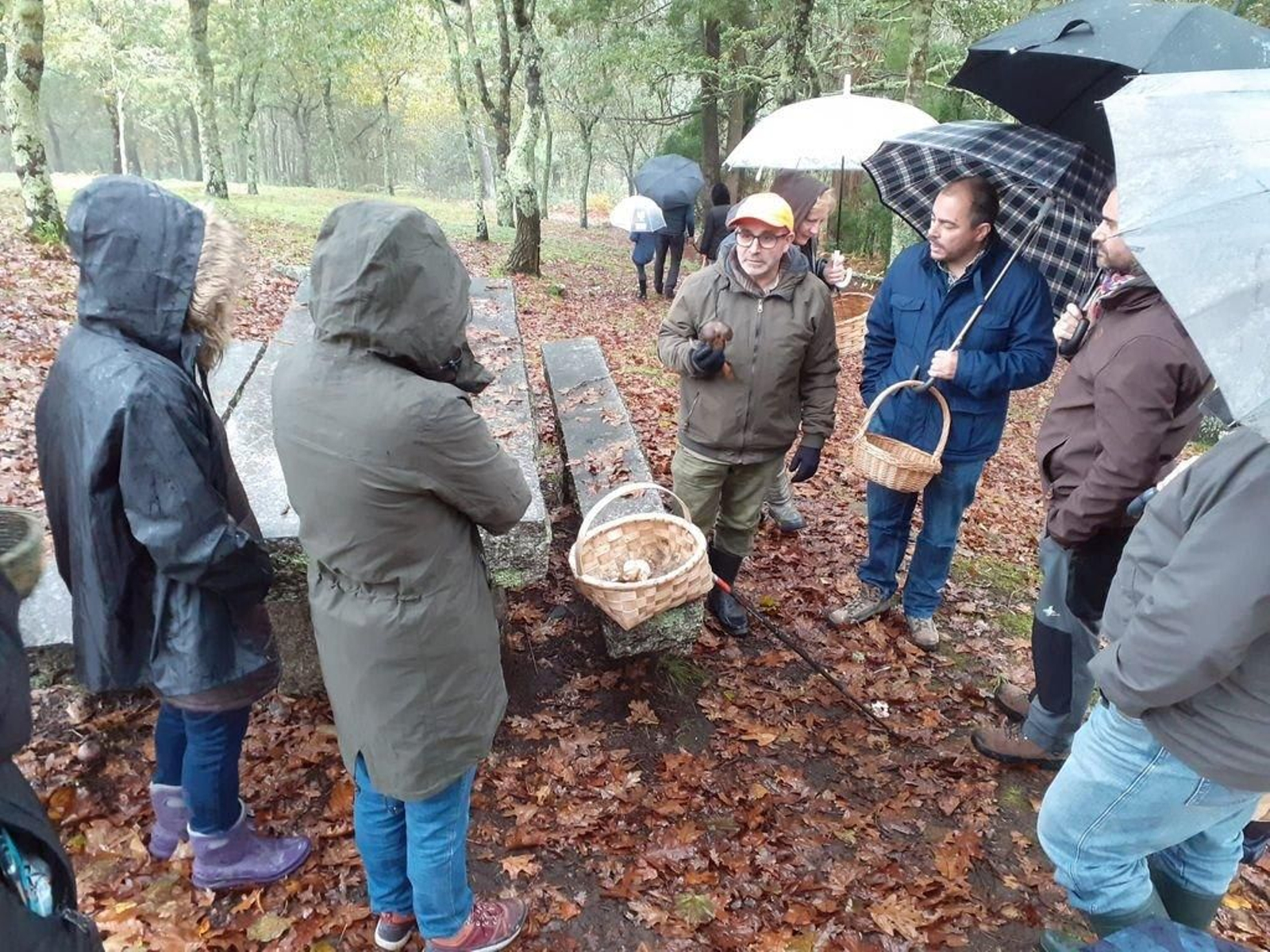 El CRAC de Coruxo organizó ayer una actividad de recogida de setas en los montes de Fragoselo.