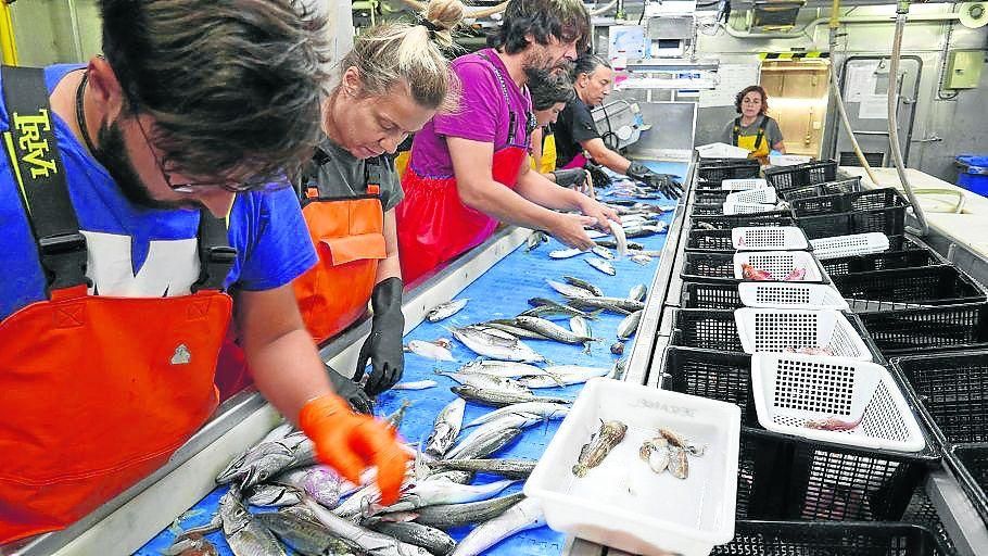 Investigadores de la anterior campaña de Descarsel trabajando a bordo del buque Miguel Oliver en el año 2019